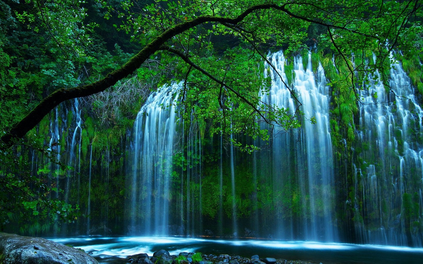Natural Beauty Beautiful Waterfall Drop Of Water Through The Dense Green Bush Forming River Tree With Leaves Wallpaper For Desktop 2k 4k