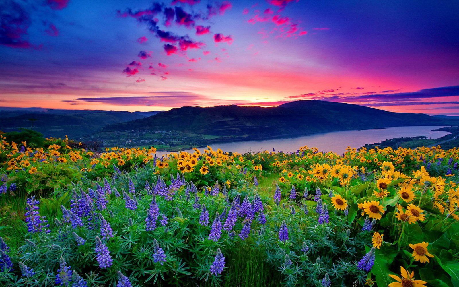 Nature Landscape Yellow Flowers And Blue Mountain Lake Hills Red Cloud Sunset Hd Desktop Wallpaper 2k 4k