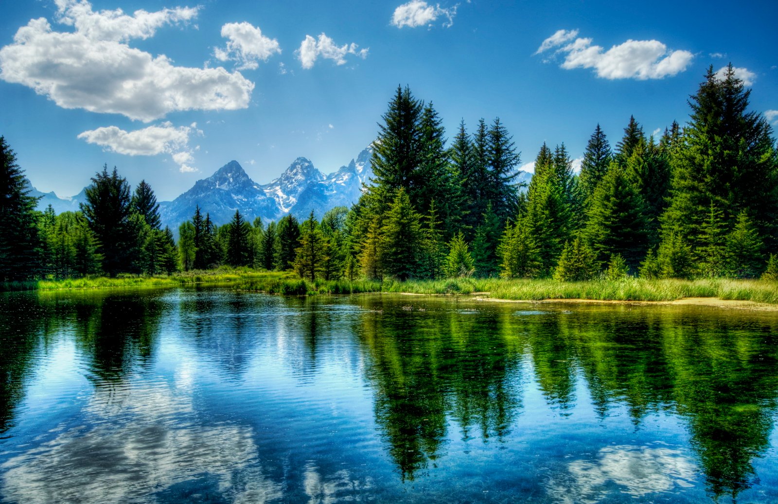 reflection of green tall trees and clouds on body water during daytime 2k 4k