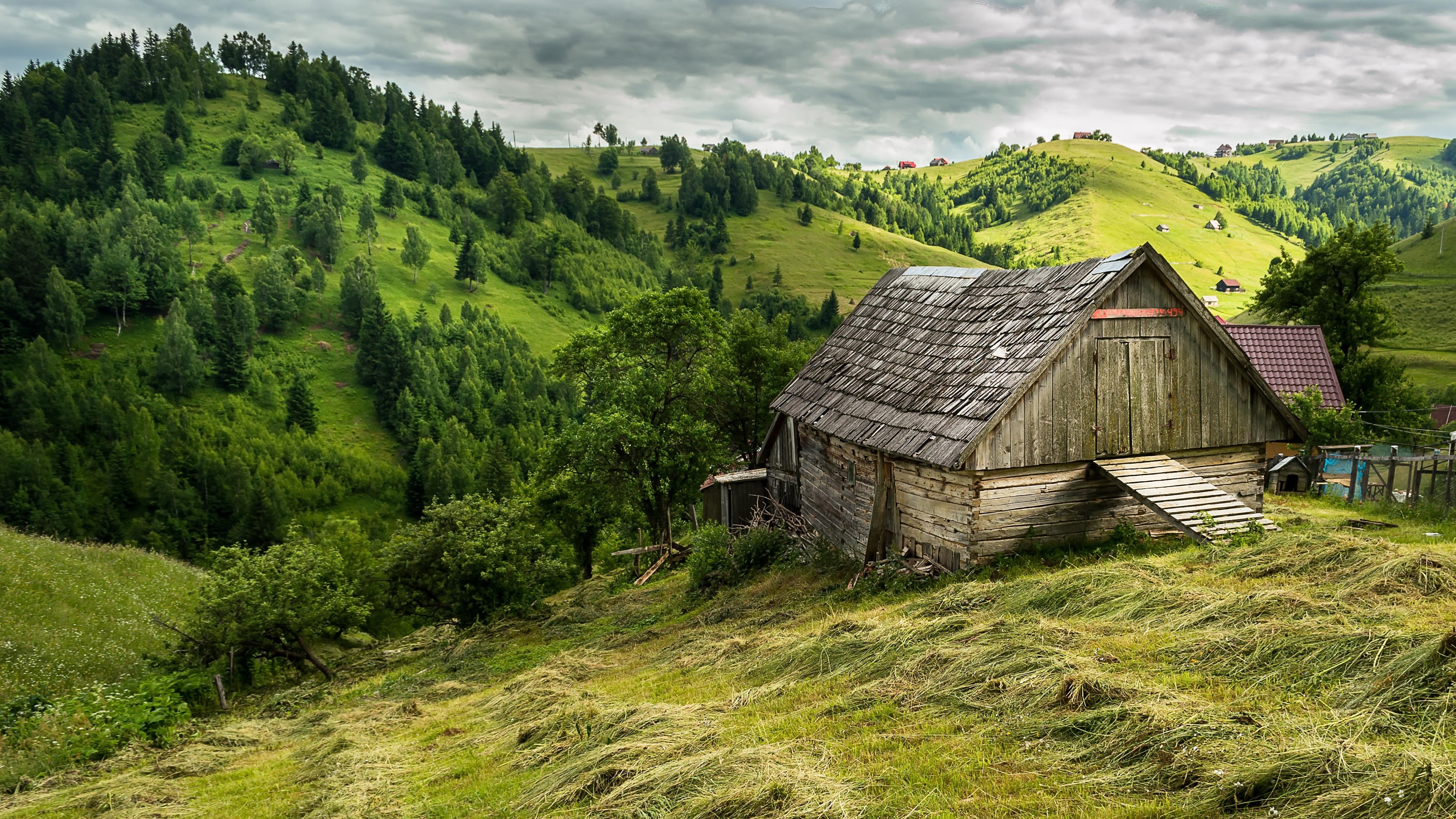 rolling hills europe romania highland hut rural area grassland 2k 4k