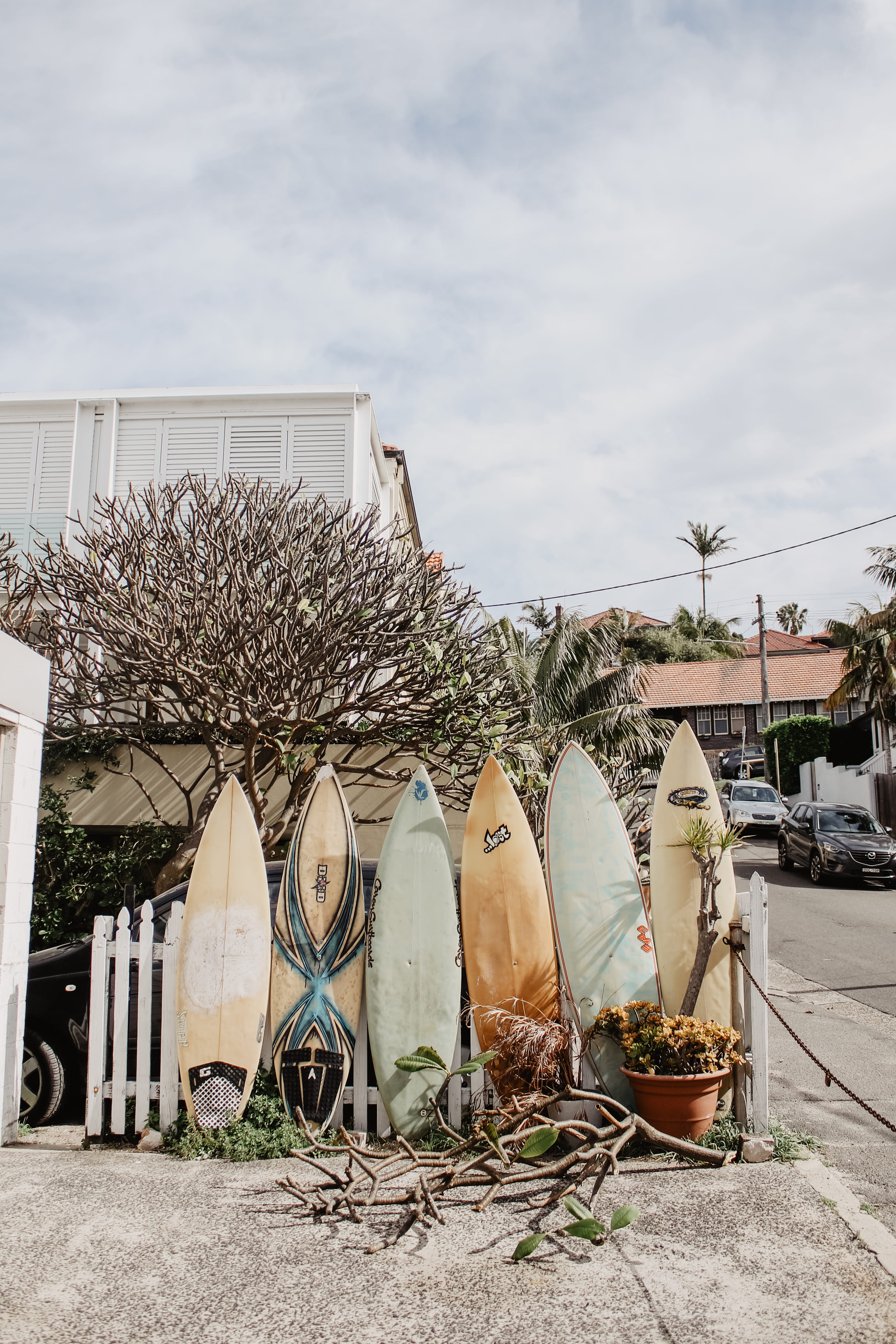 six assorted color surfboards on fence tree city street cloud 2k