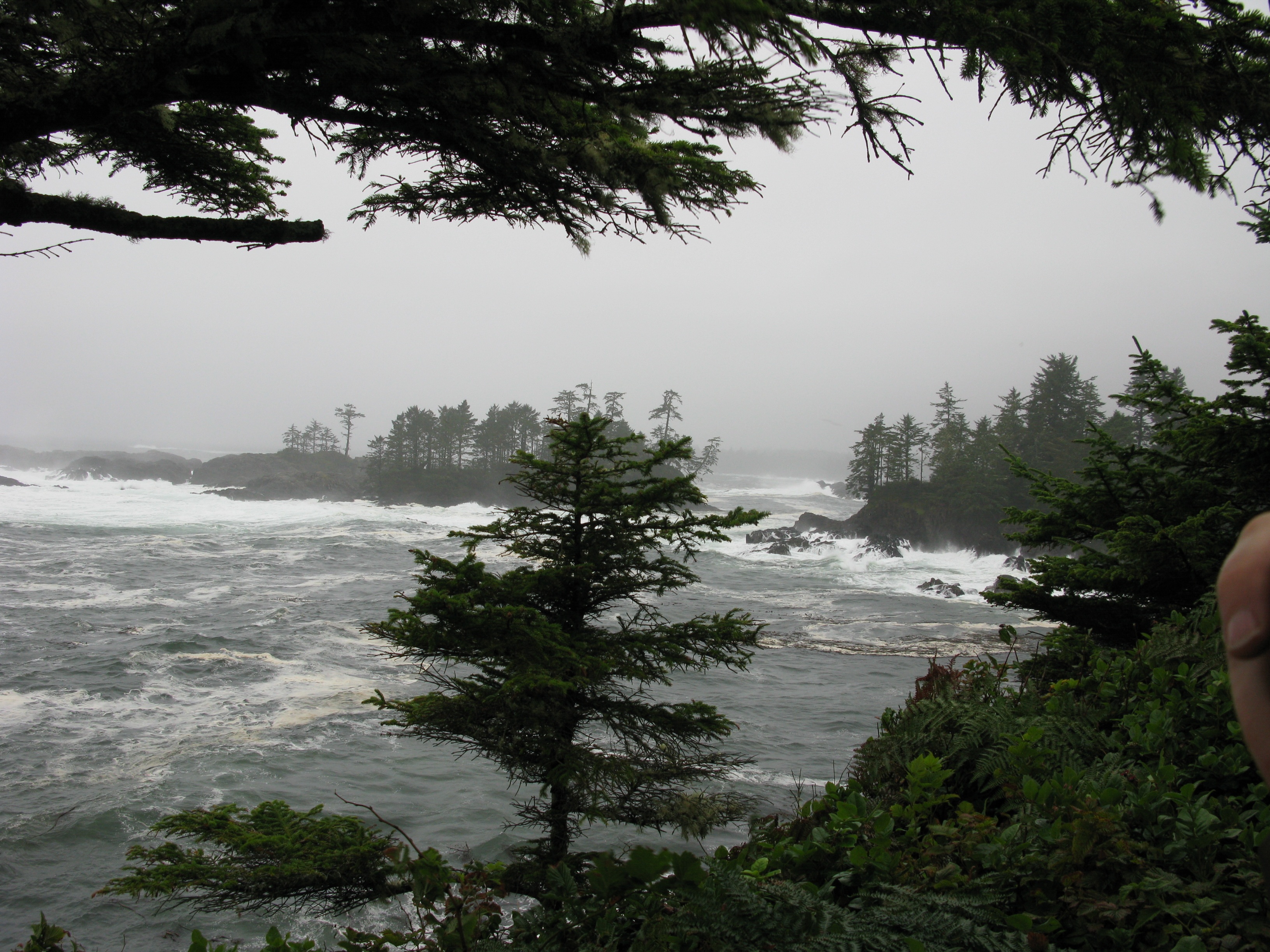 storm waves tofino vancouver island pacific ocean scenery 2k