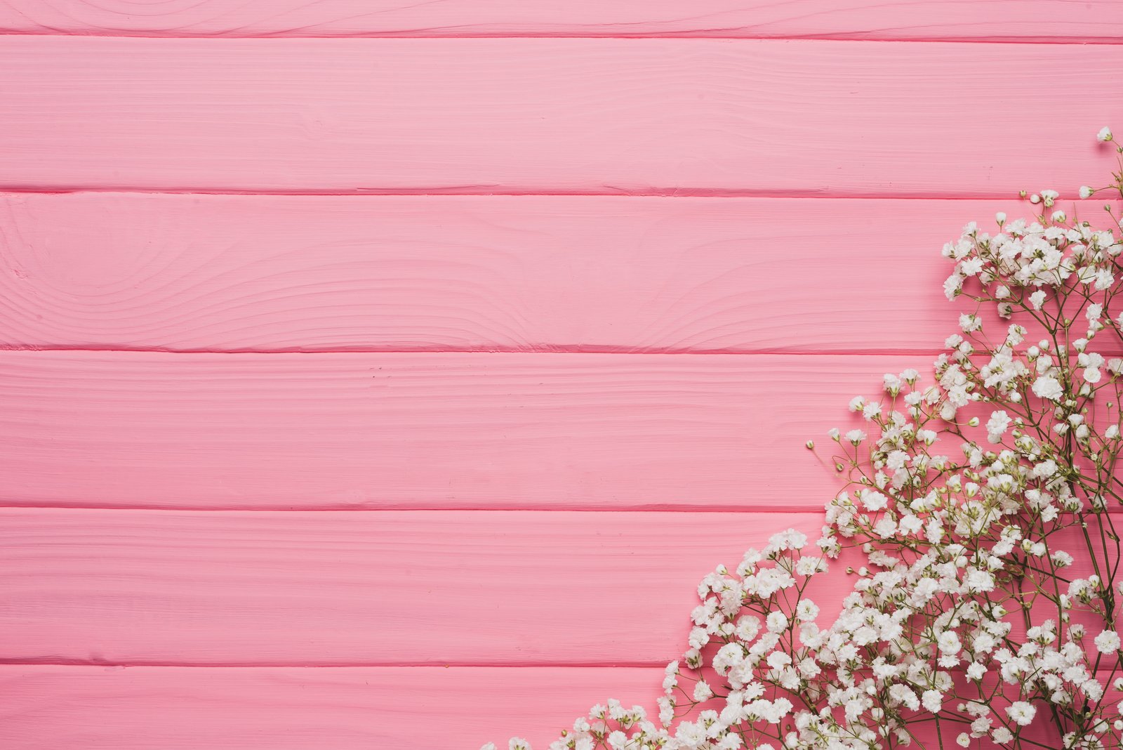 white baby s breath flower flowers background tree pink texture 2k 4k 5k
