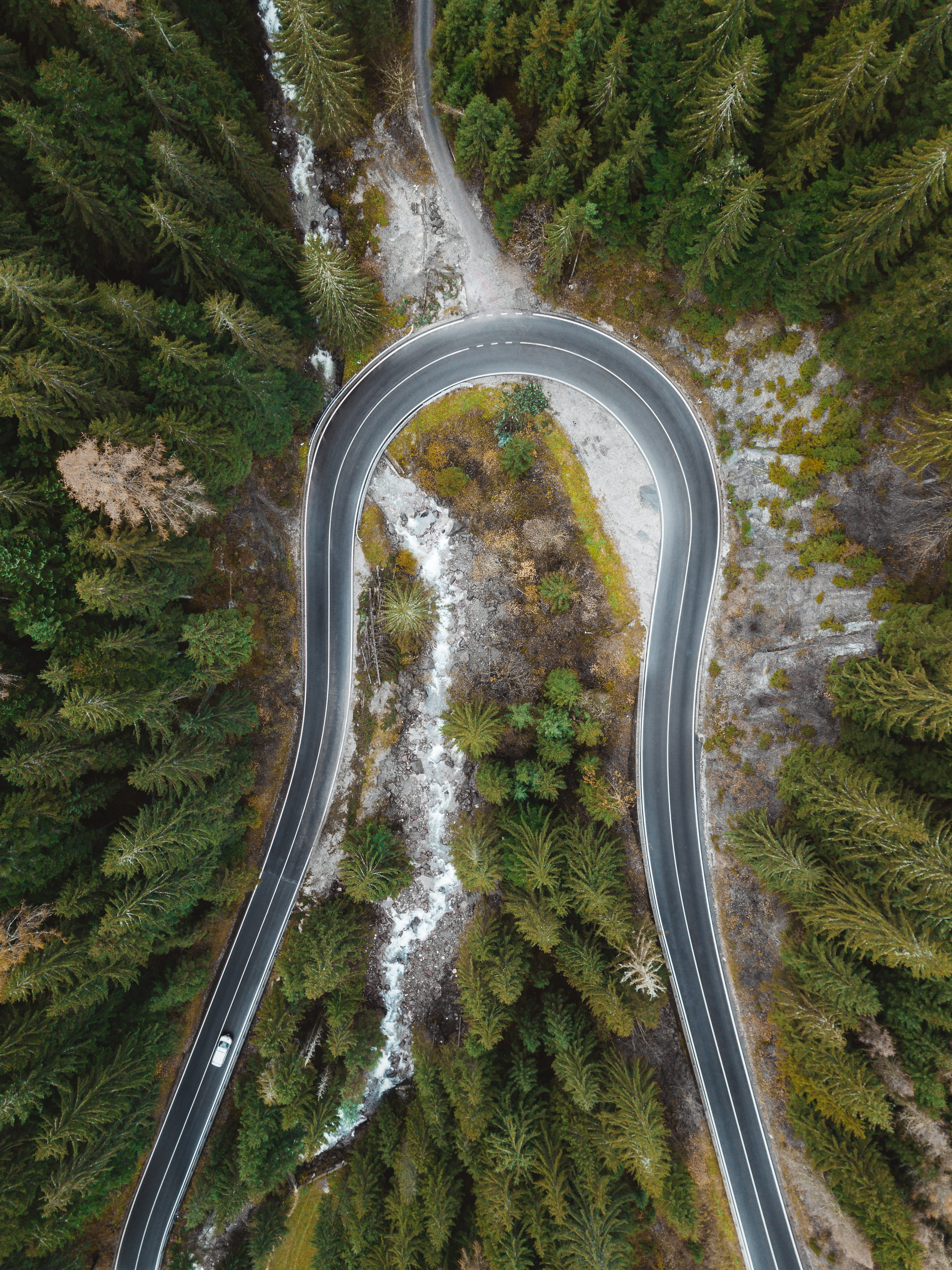 aerial view of curved road surrounded by trees nature scenery 2k