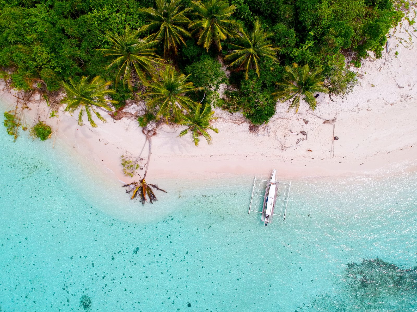 bird s eye photography of boat on island water ocean tree 2k 4k