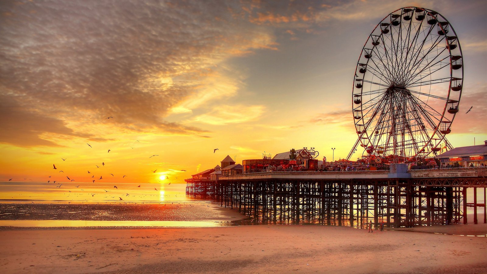 black ferris wheel sunset beach UK pier Blackpool birds 2k 4k 5k