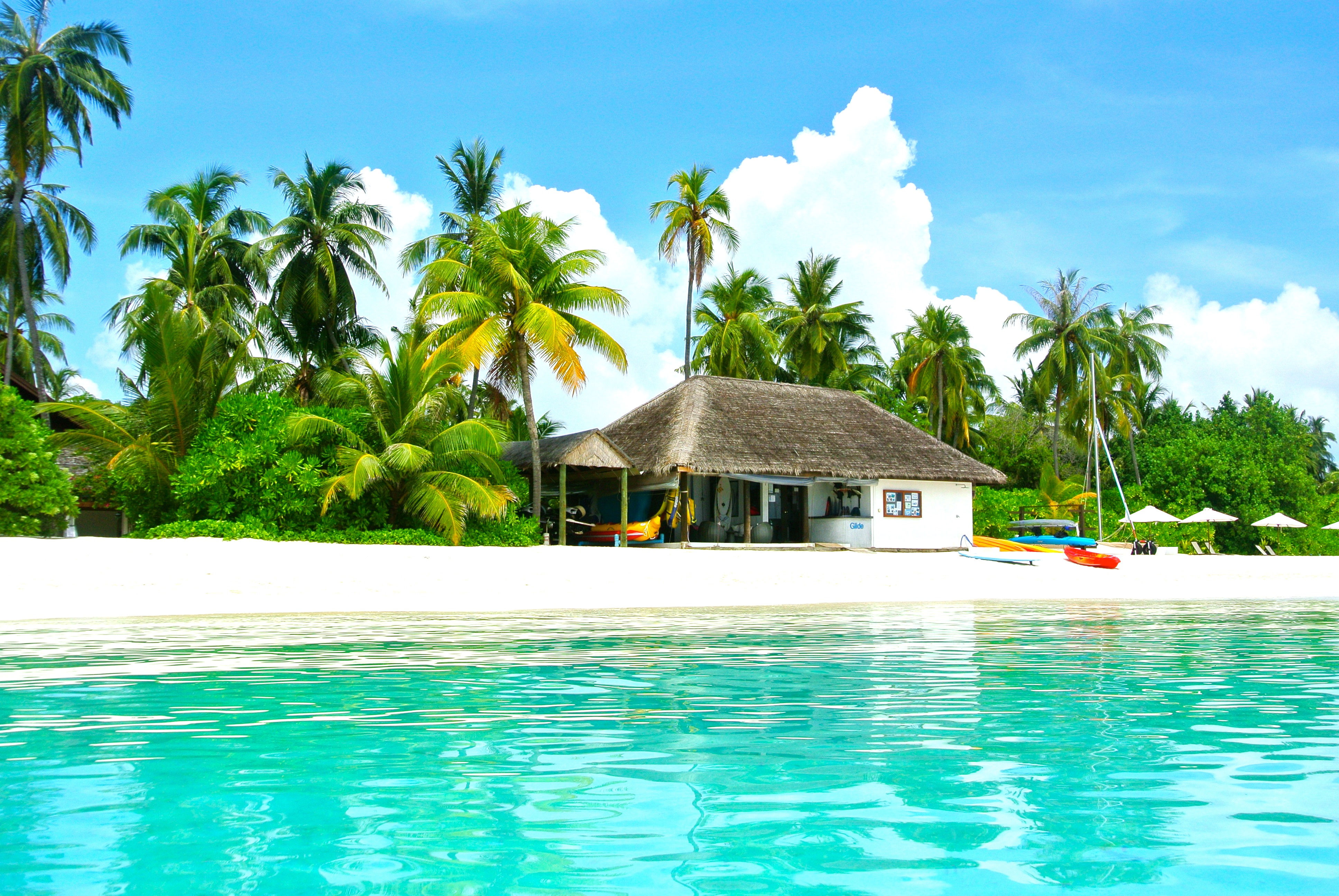 brown and white house on seashore beside coconut trees near green calm sea 2k 4k