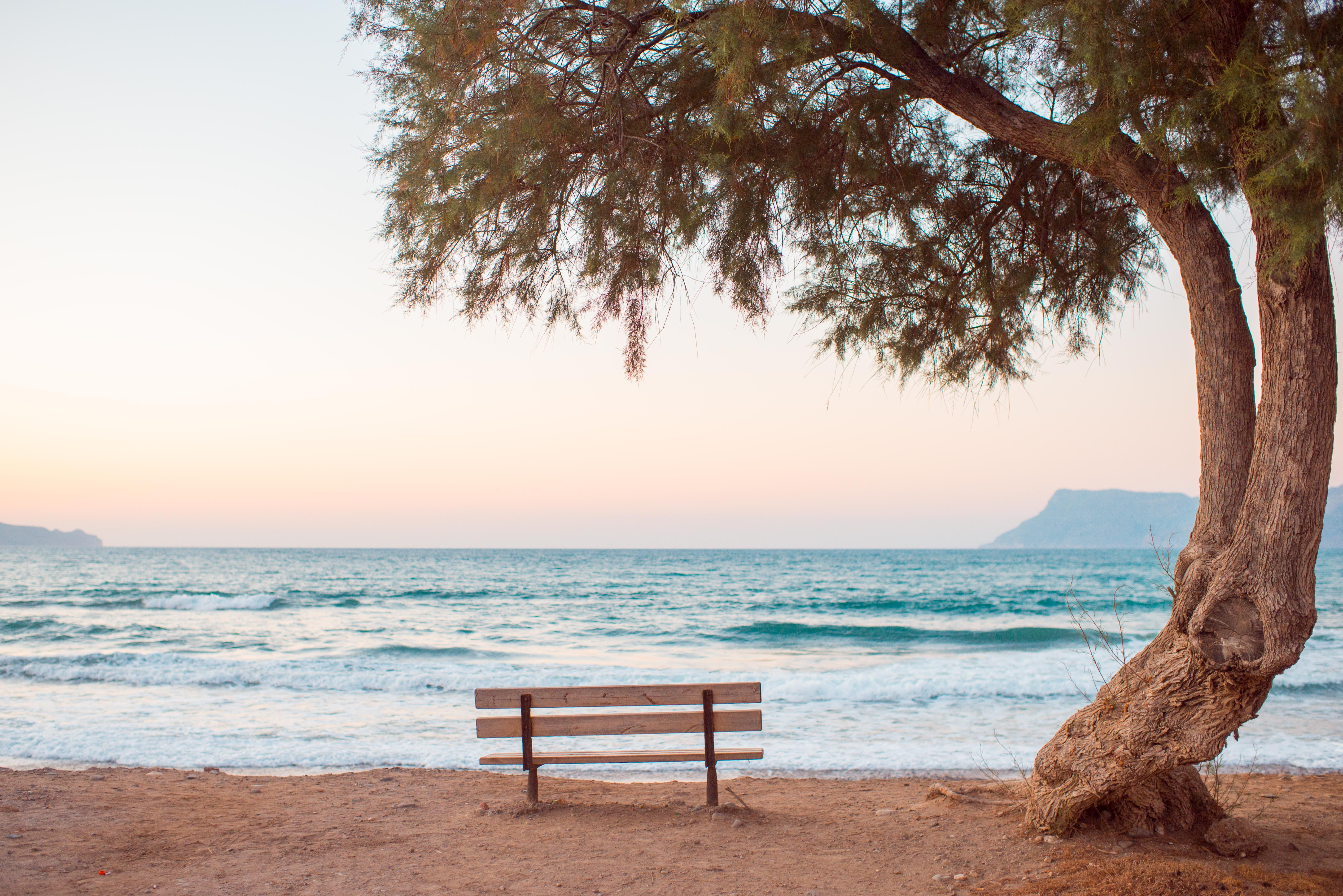 brown bench near seashore beach sunset dusk blue hour pastel 2k 4k 5k