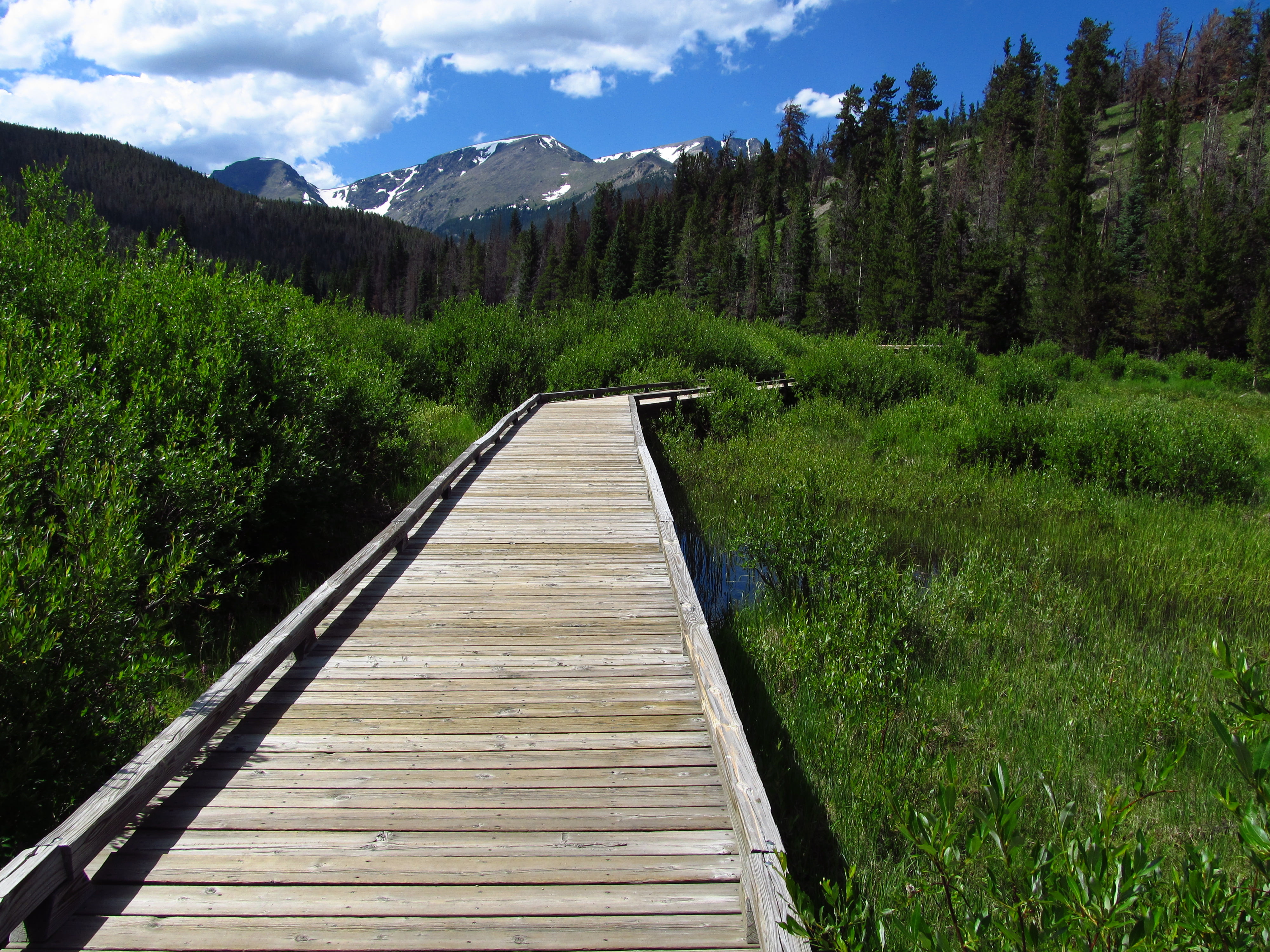brown pathway in between green grasses during daytime rocky mountain national park 2k 4k