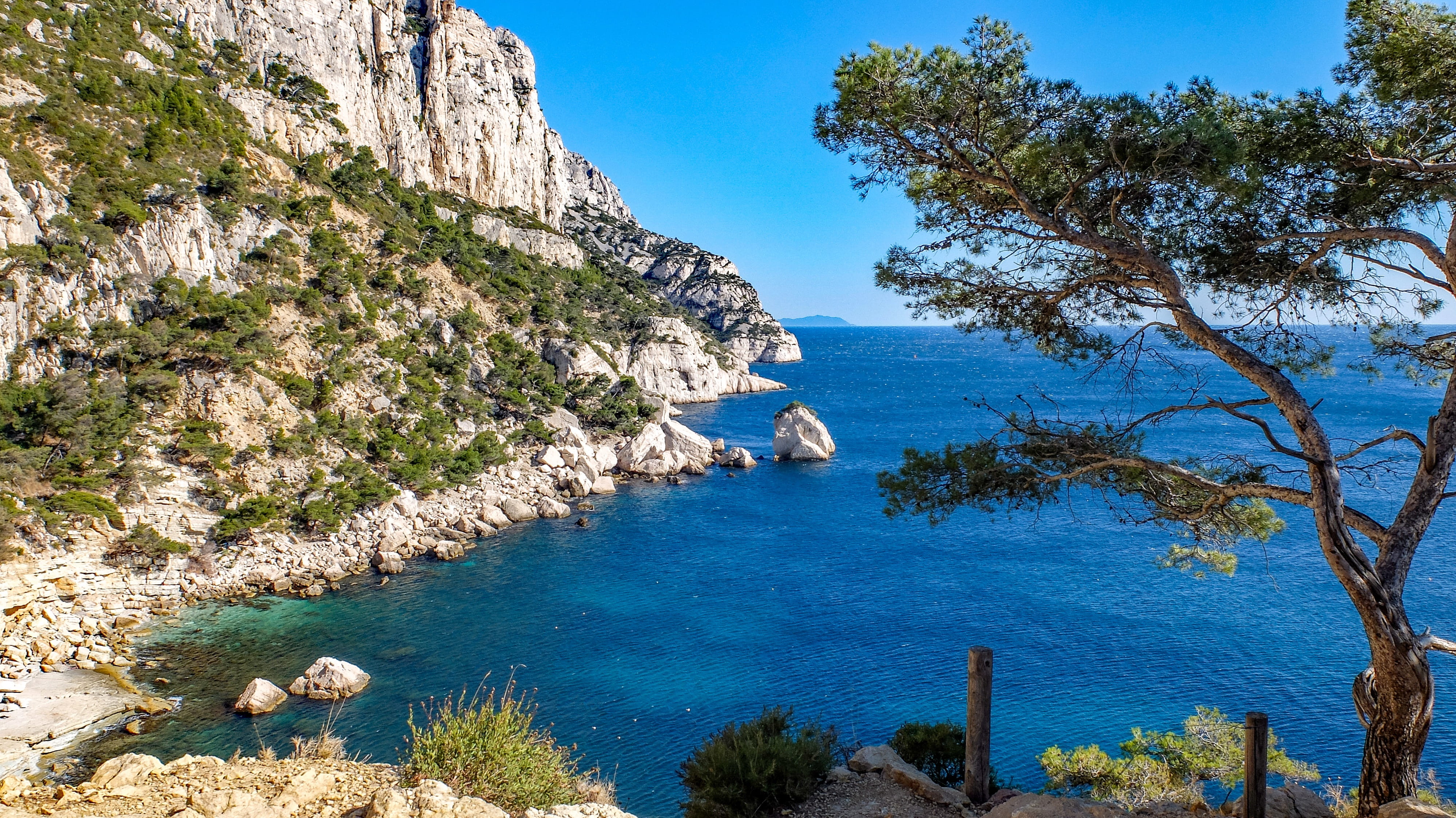 calanque marseille sea mediterranean coast pine france 2k 4k