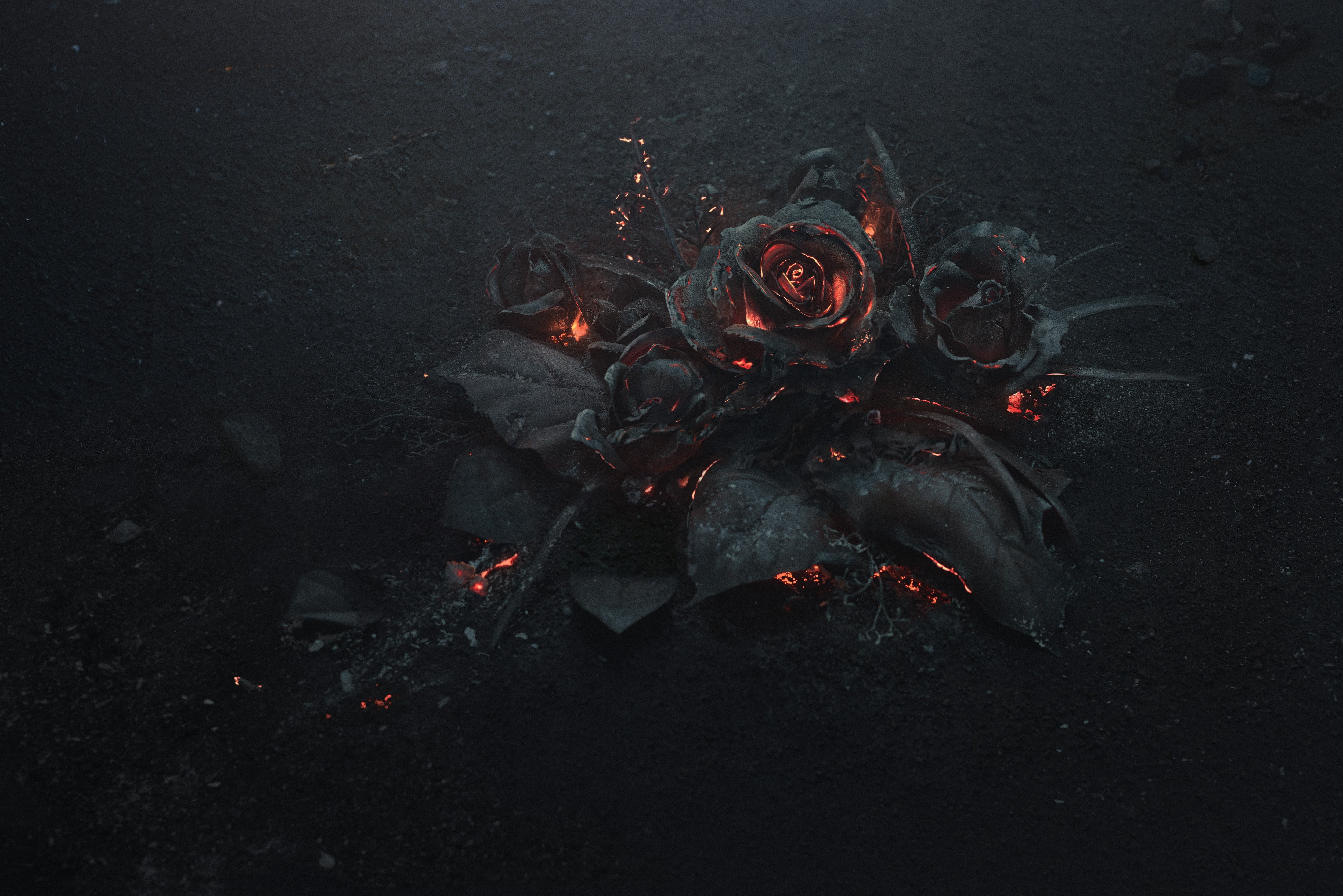 flowers rose abstract ash black burning dark fire 2k 4k 5k