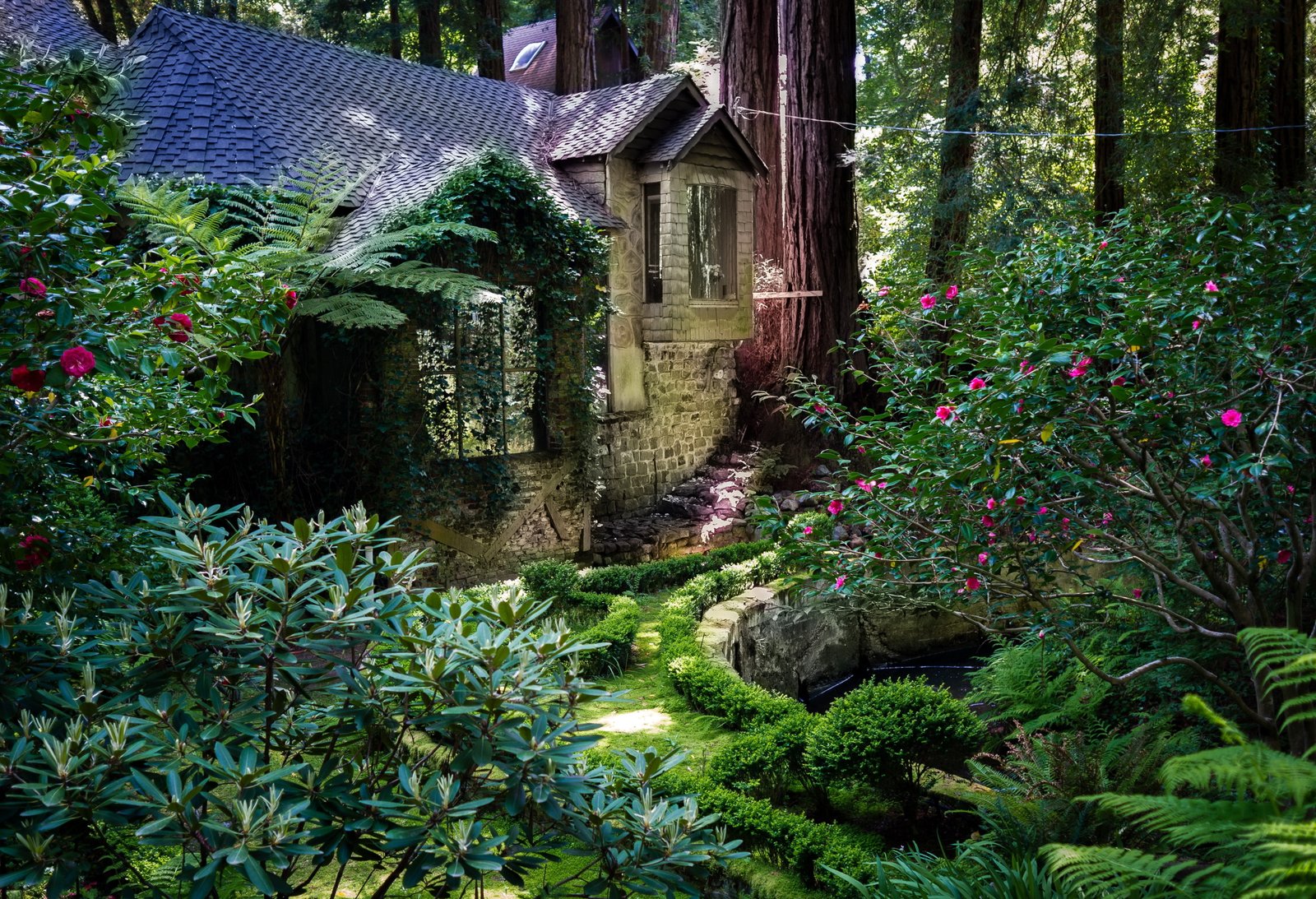 gray concrete house nature landscape trees forest plants 2k 4k