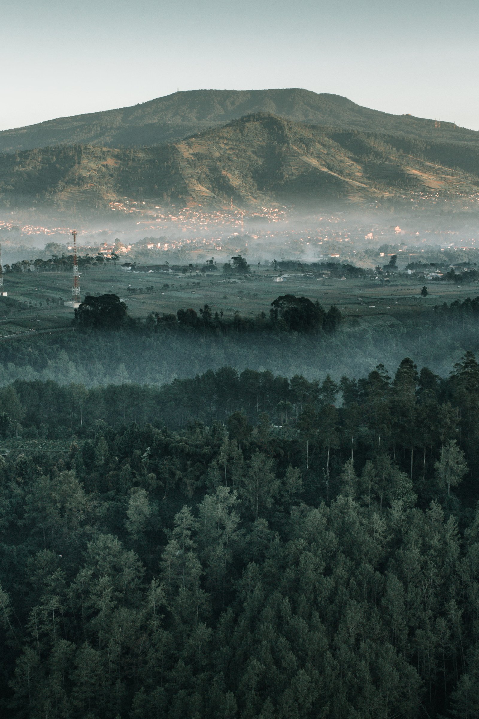 green field beside mountain and pine trees landscape photography of 2k