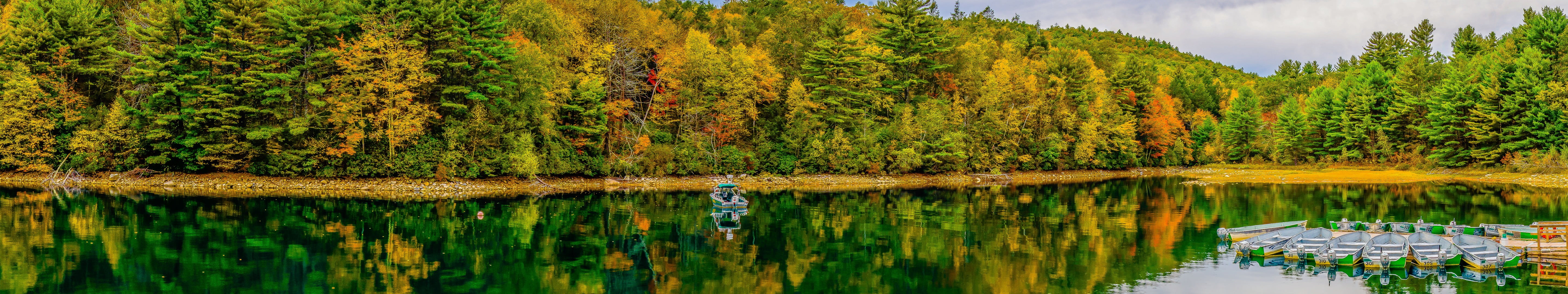 green leafed tree Massachusetts lake water sky reflection 2k 4k 5k