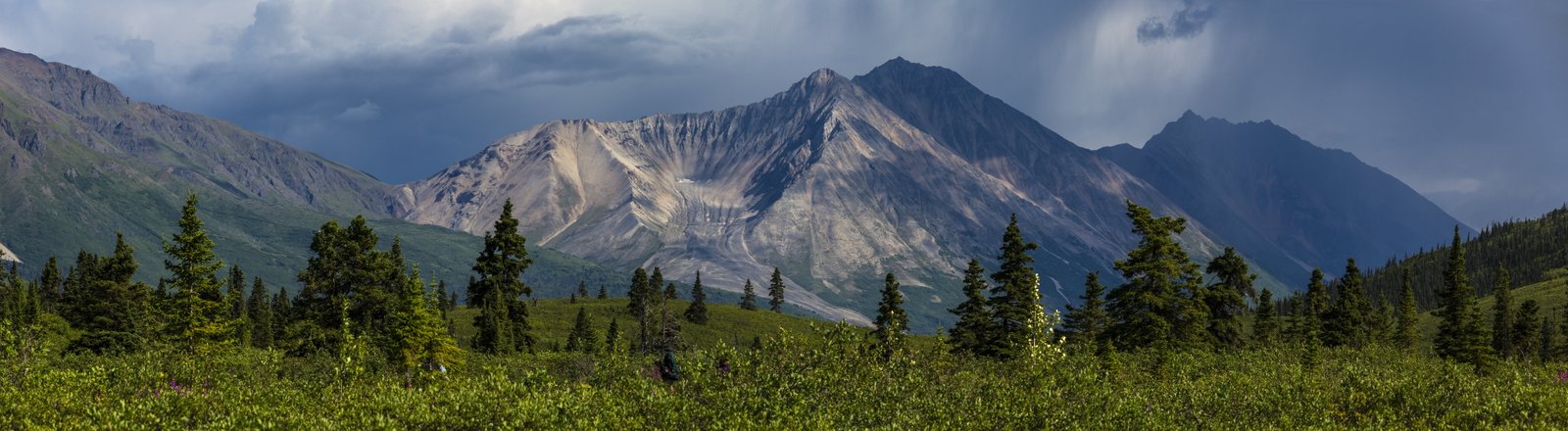 green trees over mountains landscape scenic porphyry mountain 2k 4k 5k 8k