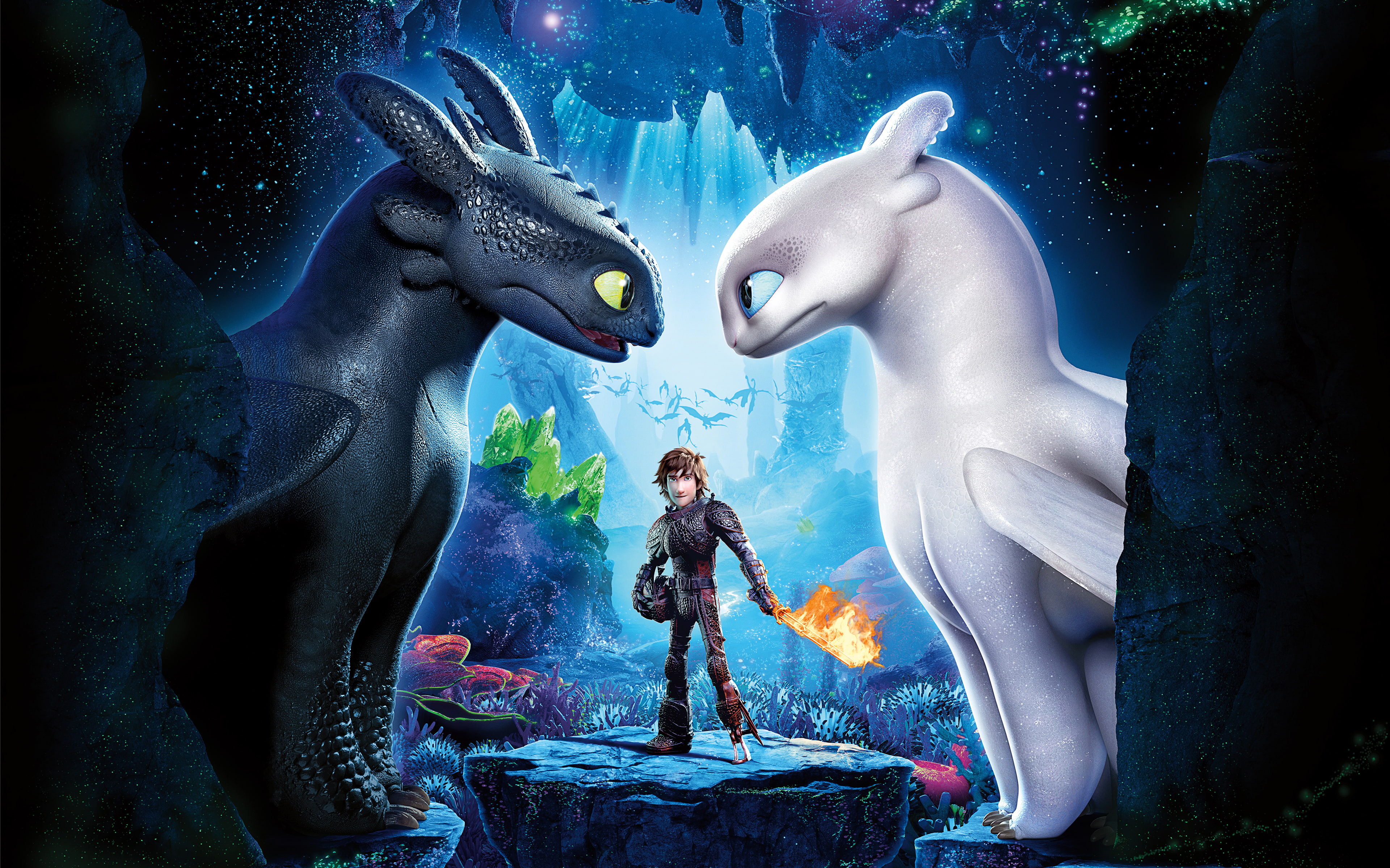 How to Train Your Dragon 3 The Hidden World representation 2k 4k