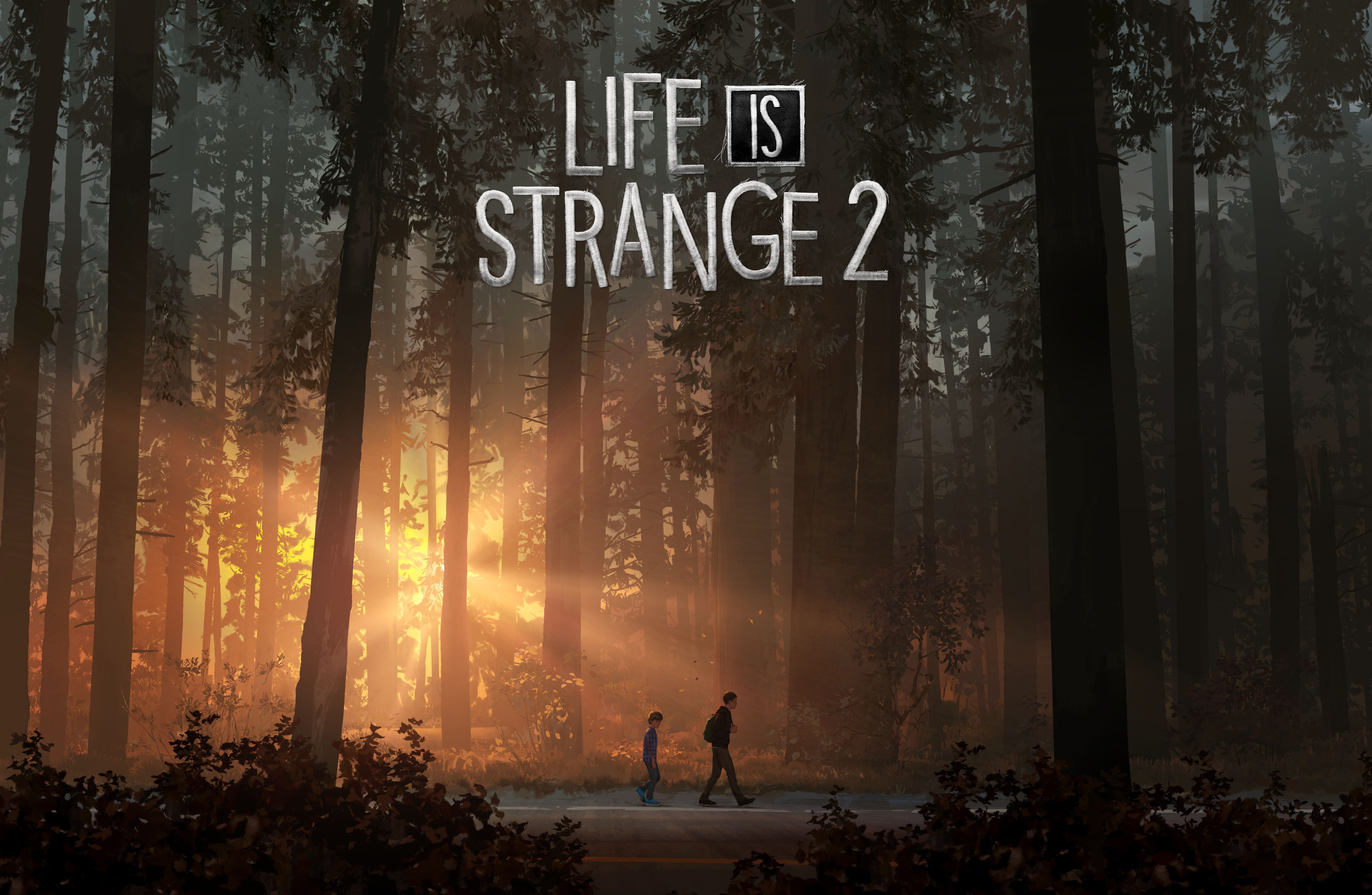 Life Is Strange 2 PlayStation 4 Xbox One PC games 2k 4k 5k