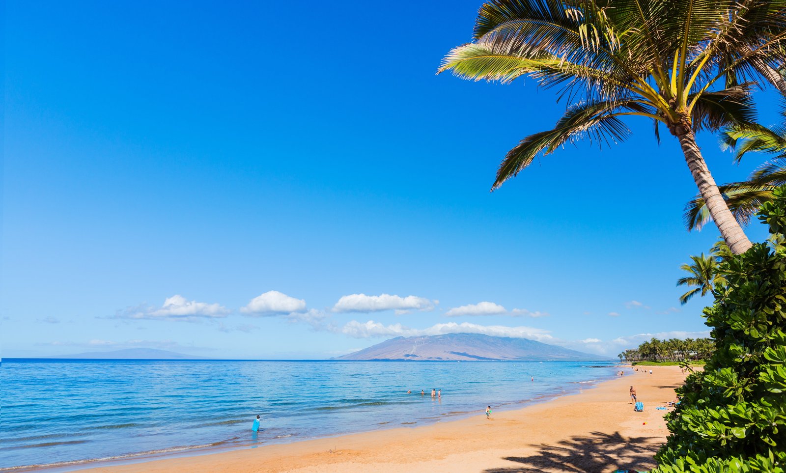 Maui coast beach ocean sky Hawaii palm 2k 4k 5k