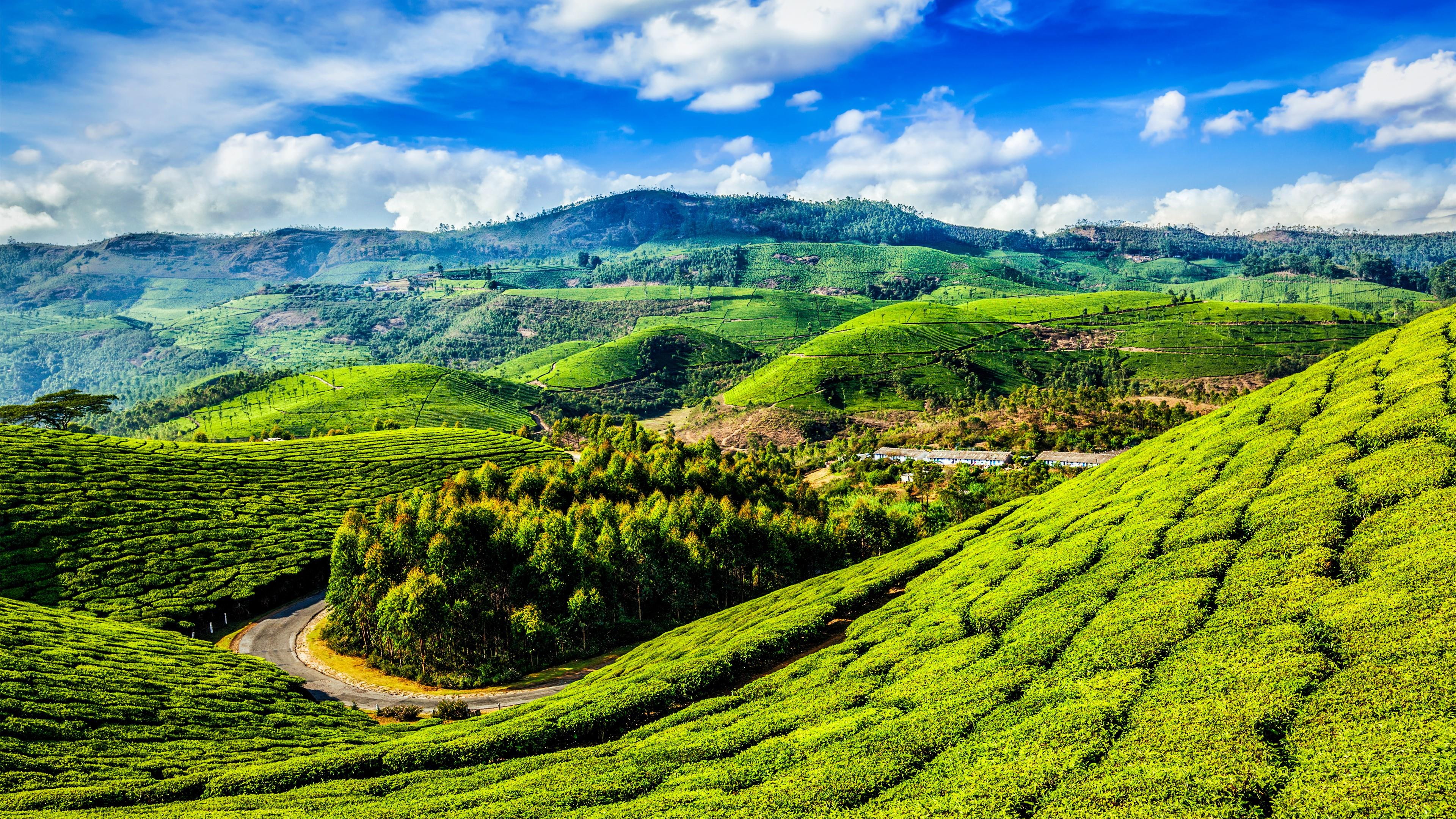 mount scenery kerala slope hill slopes tea scenic crop 2k 4k