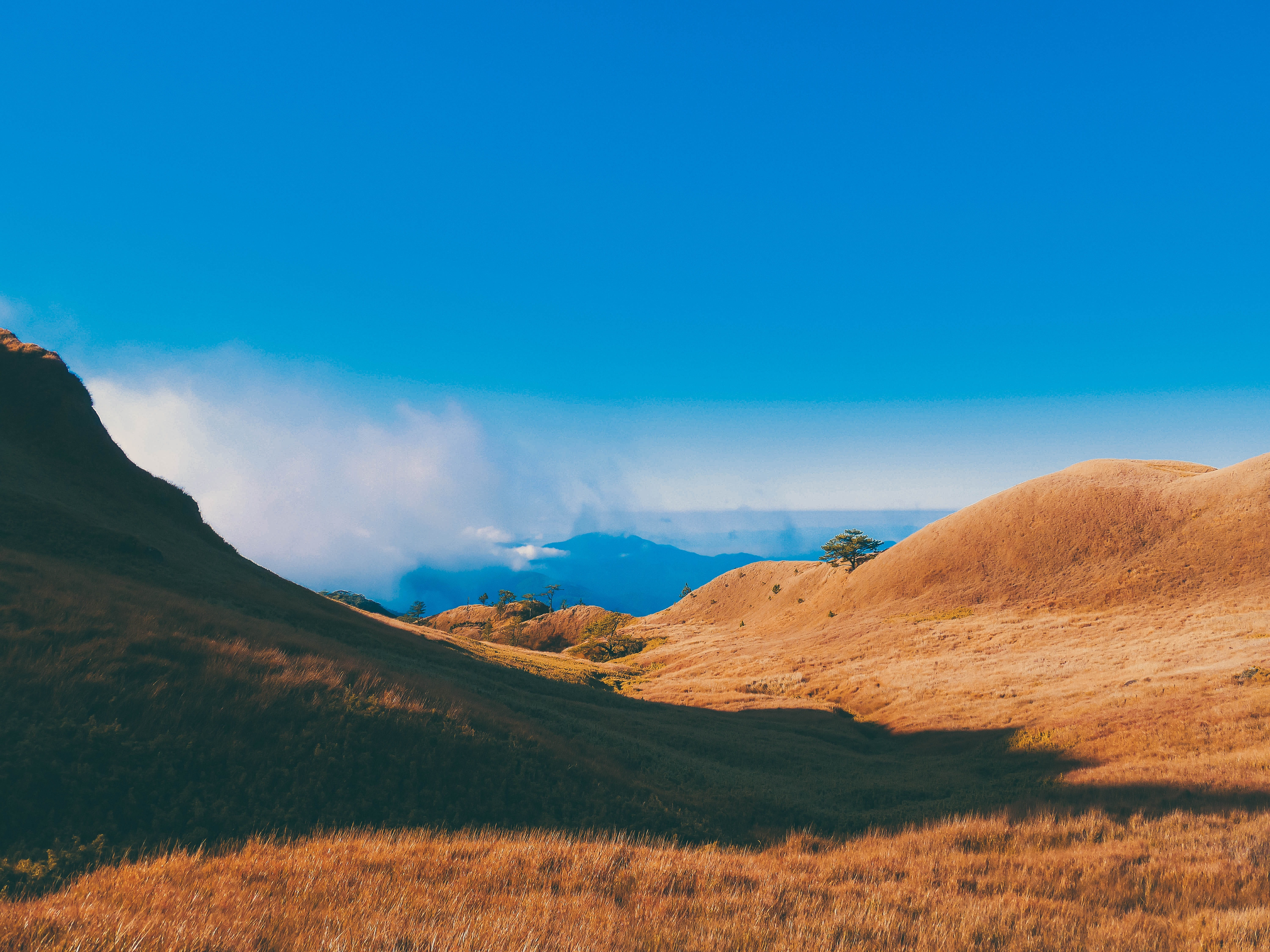 nature landscape scenery scenic mountain mount pulag benguet 2k 4k 5k