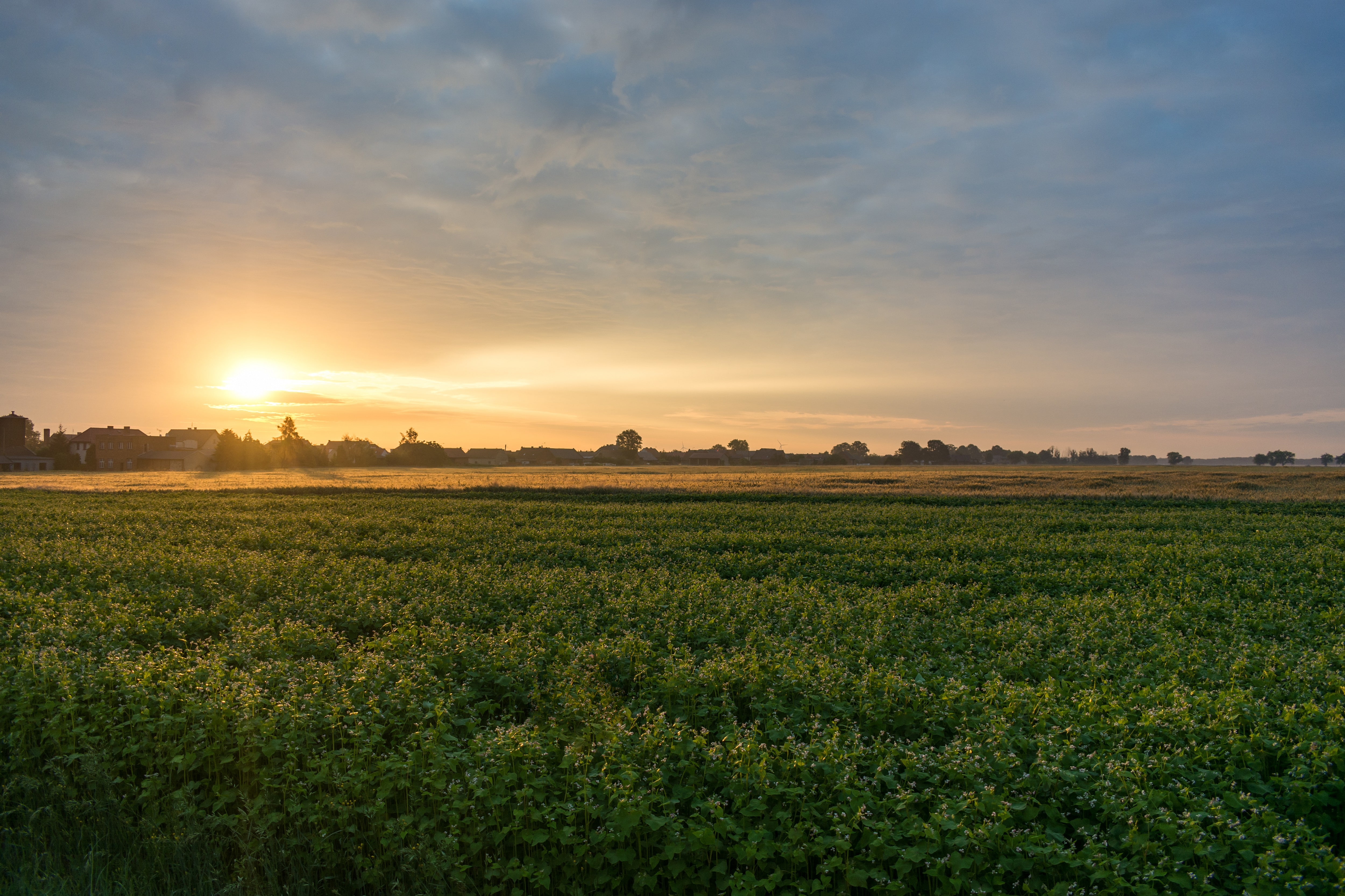 nature landscape sunrise village Poland sky field scenics 2k 4k 5k