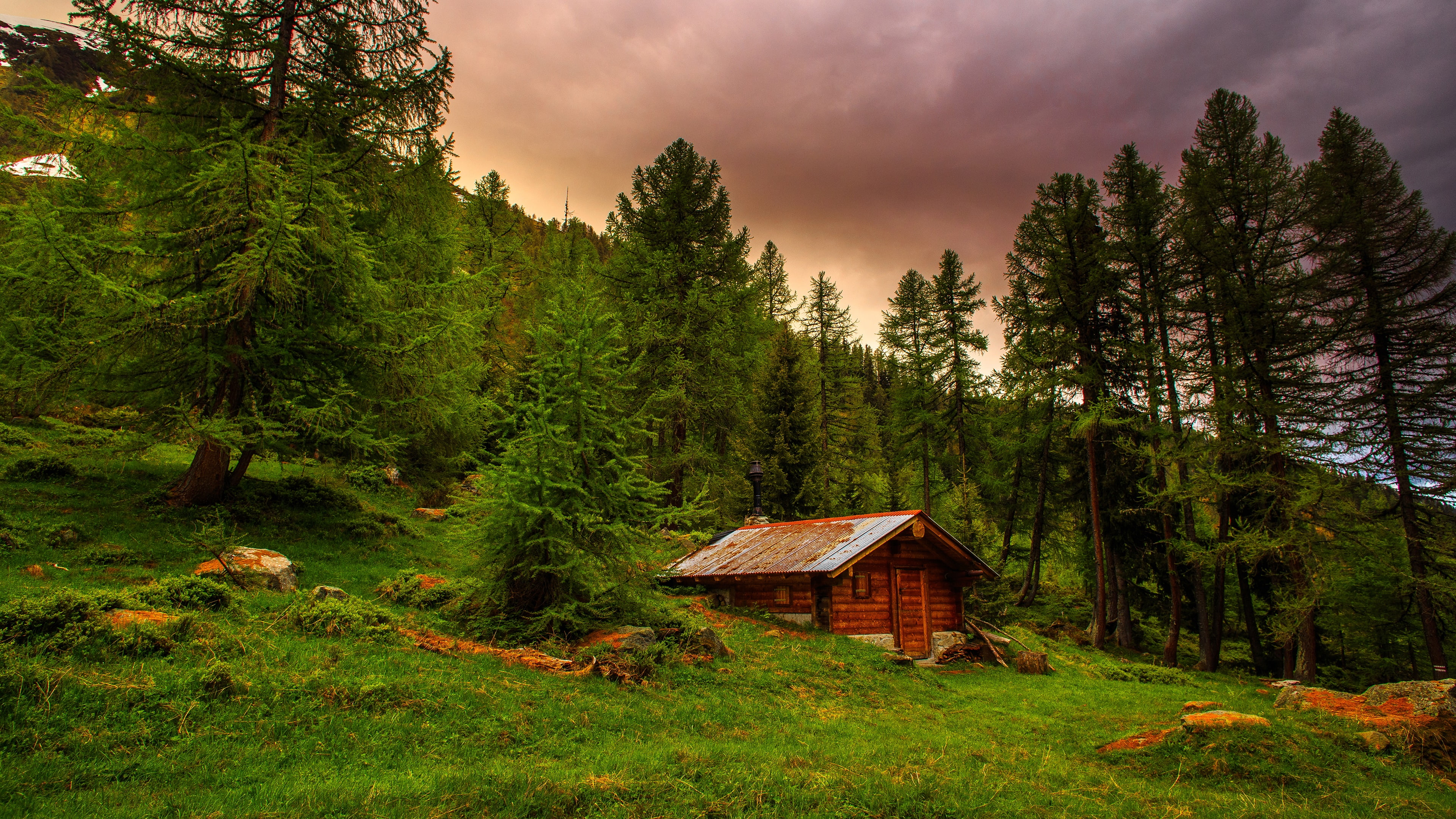 nature wilderness green tree forest sky woody plant mountain 2k 4k