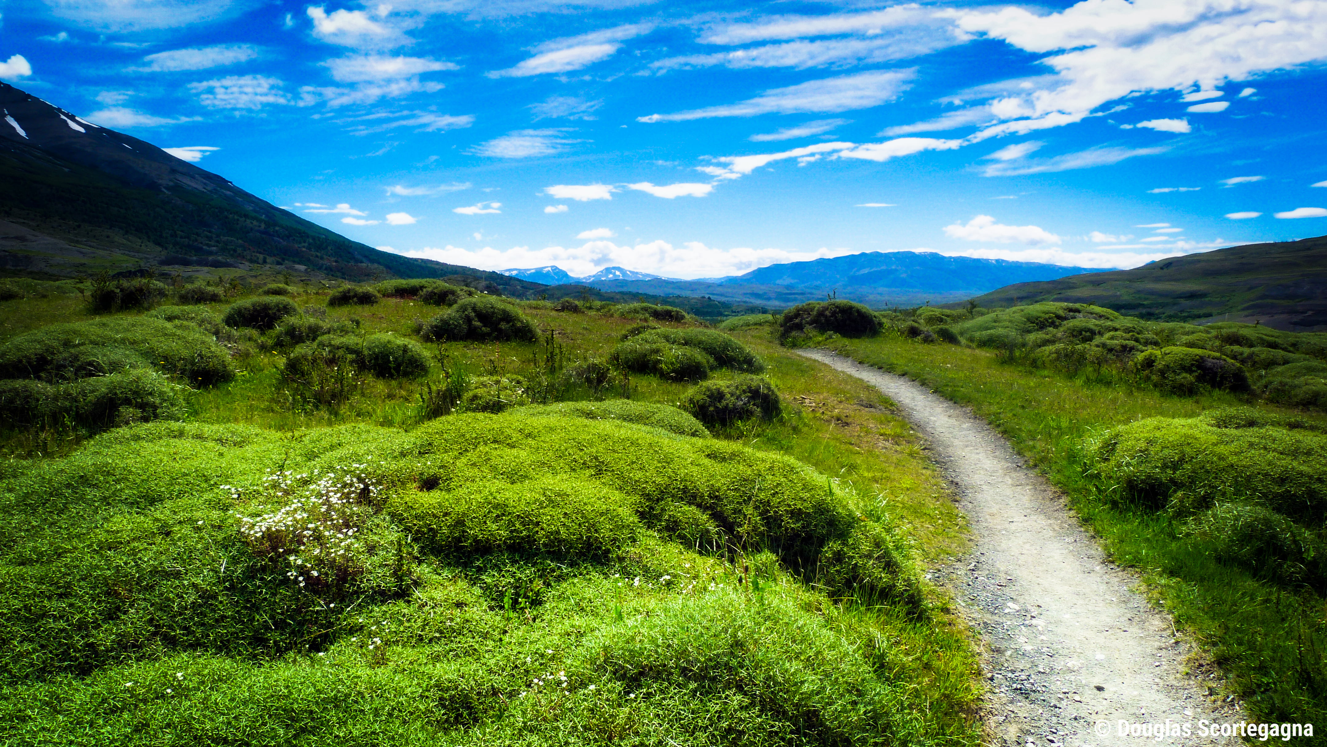 pathway between green grass field torres del paine patagonia 2k 4k