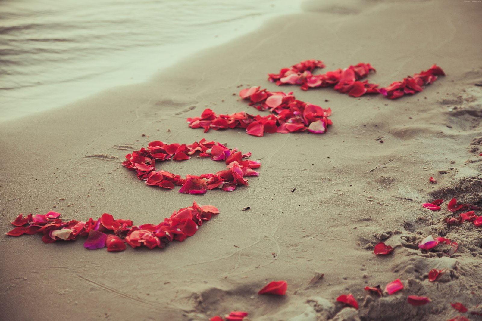 petals beach Shore sand love 2k 4k 5k