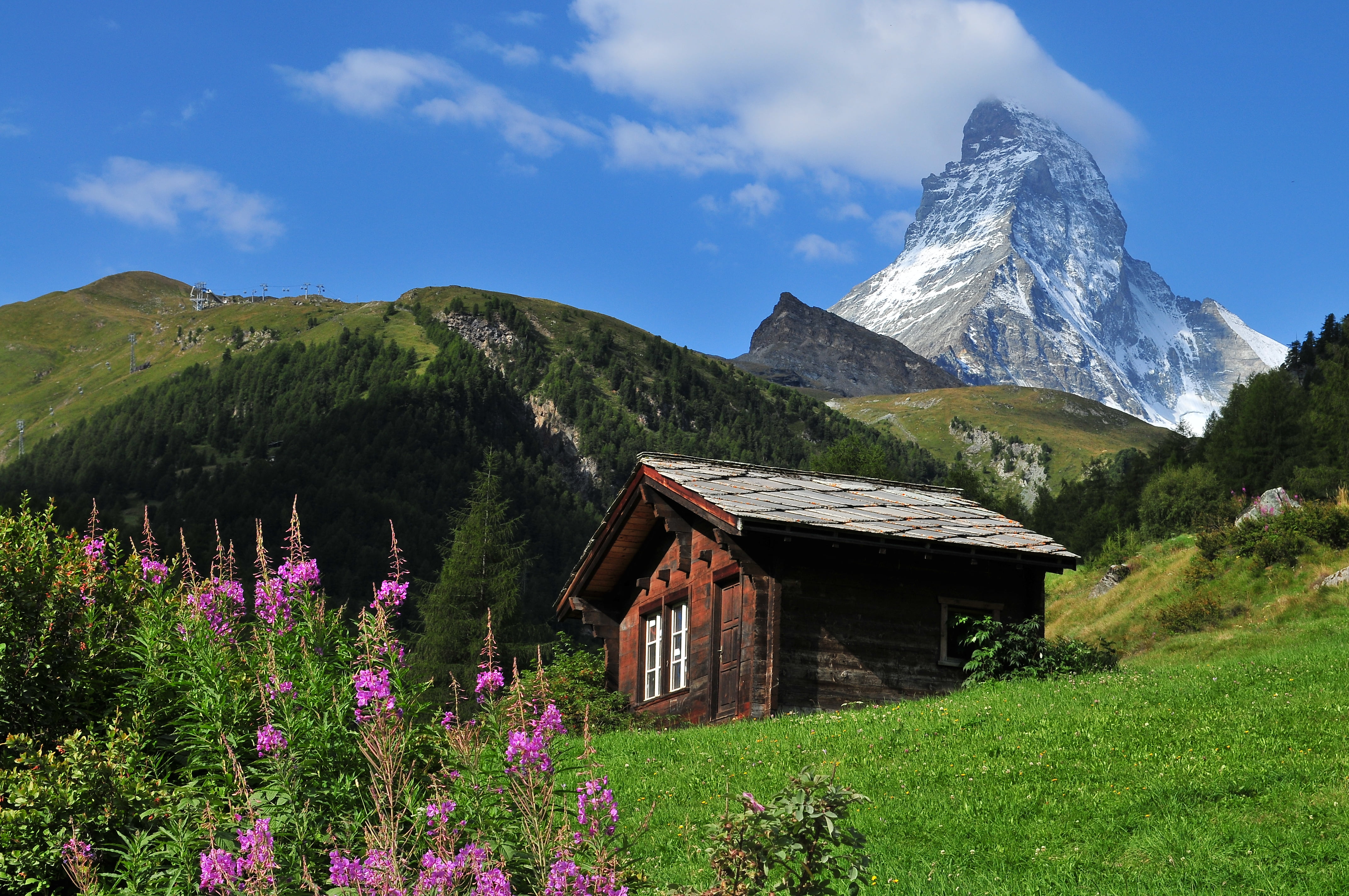 photo of brown house barn near mountains surrounded with green pine trees during daytime swiss 2k 4k