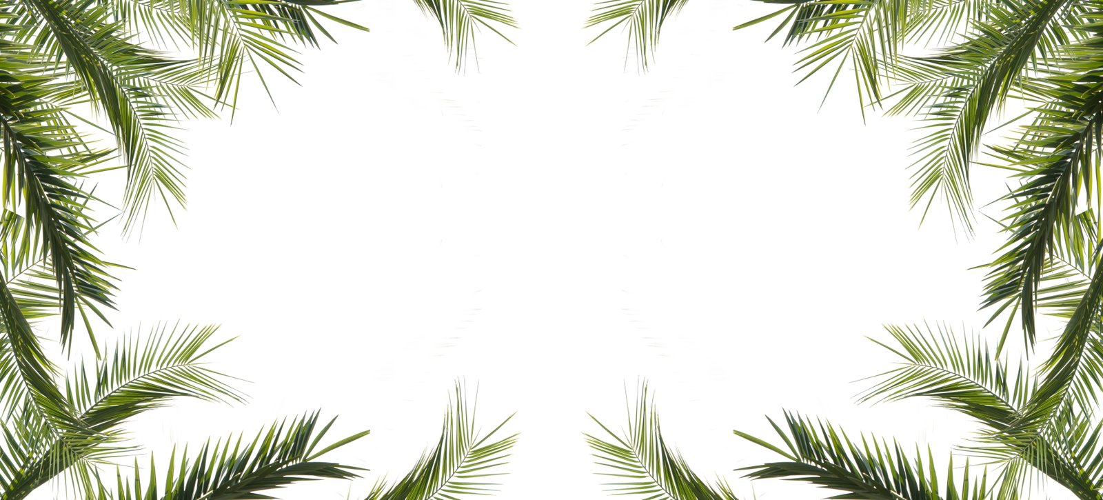 rectangular green leaf frame desktop tree nature decoration 2k 4k 5k 8k