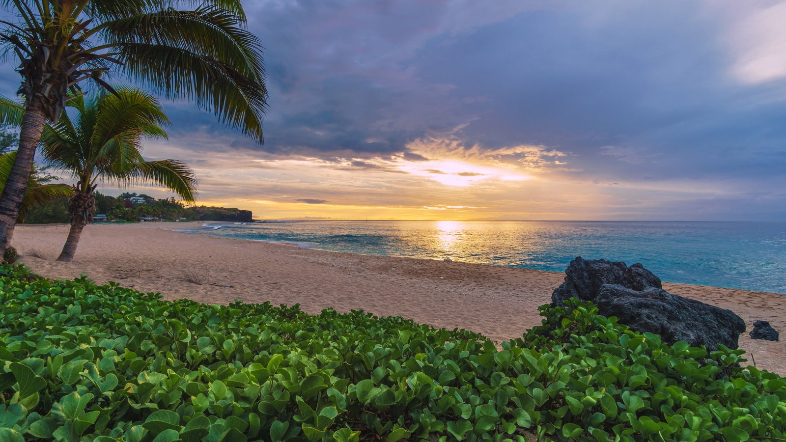 sand beach sunset palm trees the ocean France The Indian 2k 4k 5k