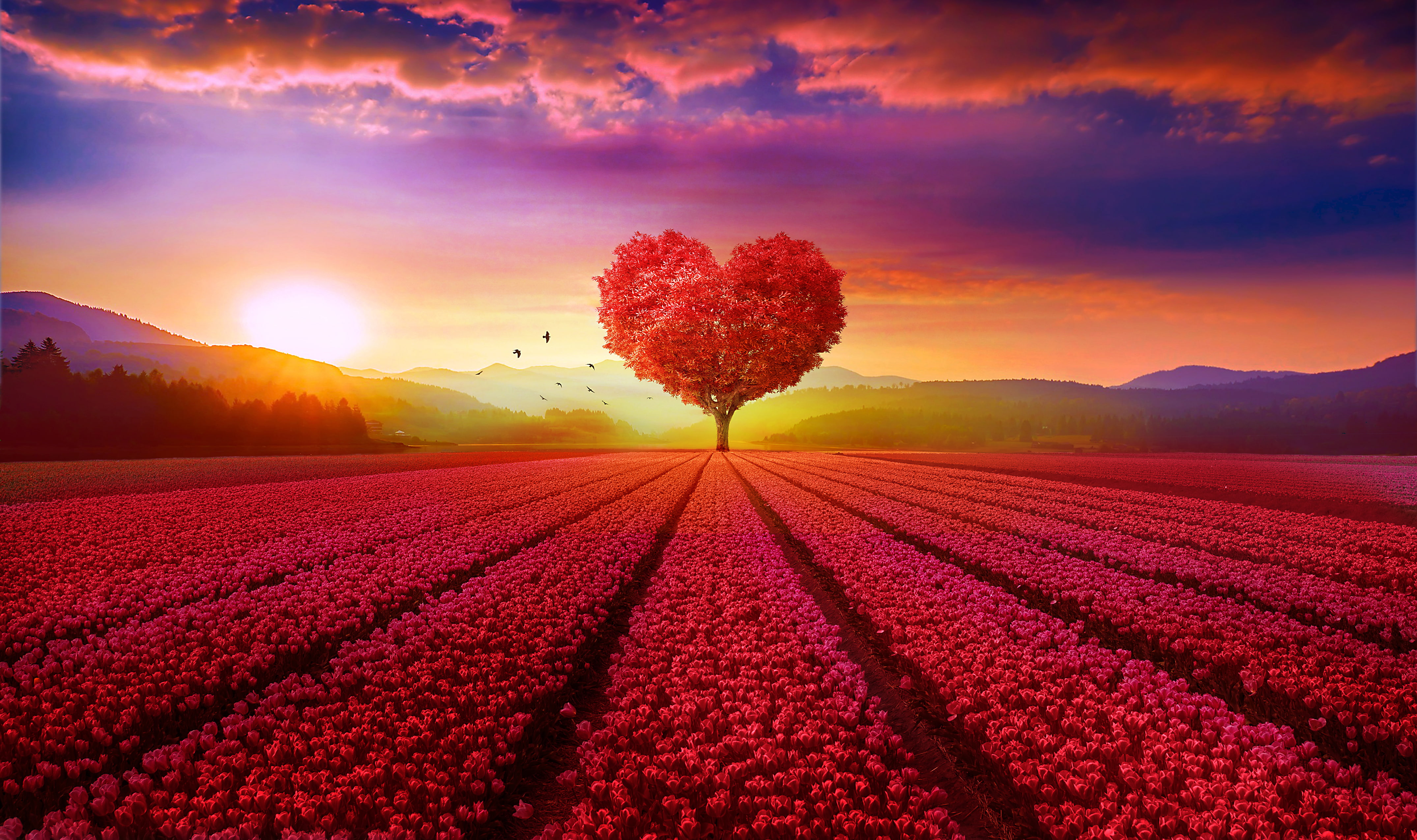 Scenery Heart tree Red Flower garden Sunrise Love heart 68 2k 4k