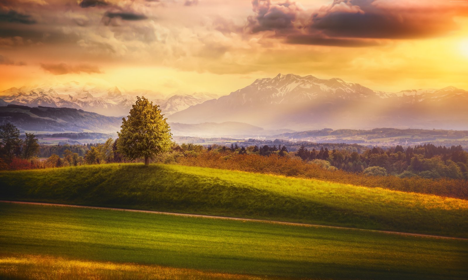 Switzerland Alps trees meadows mountains 2k 4k 5k