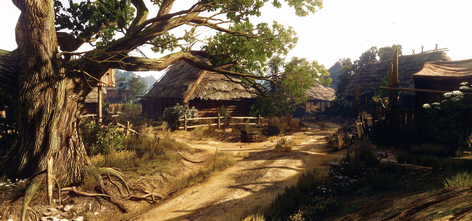 video games The Witcher 3 Wild Hunt 2k 4k