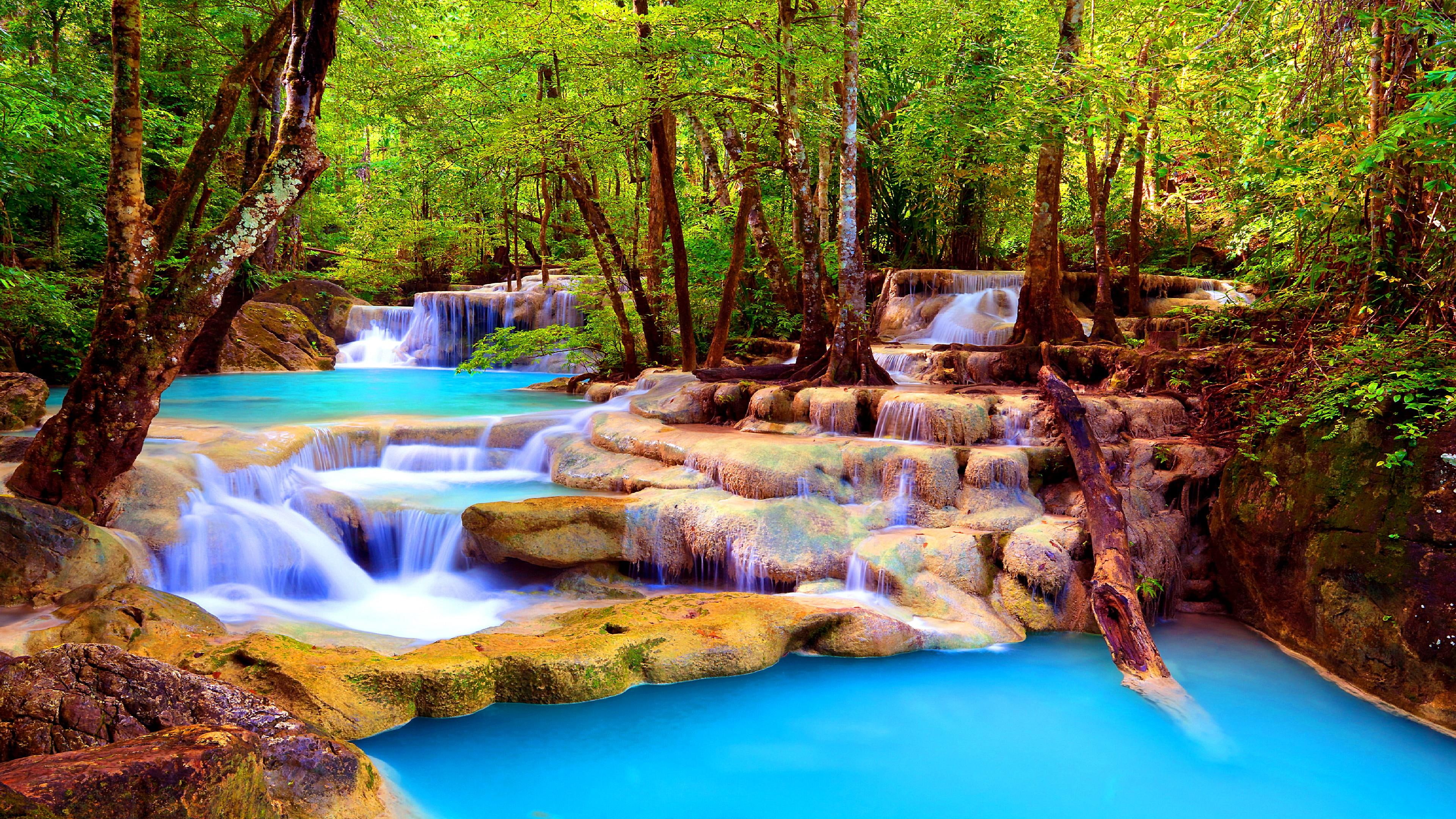 water nature waterfall tree stream creek plant asia 2k 4k