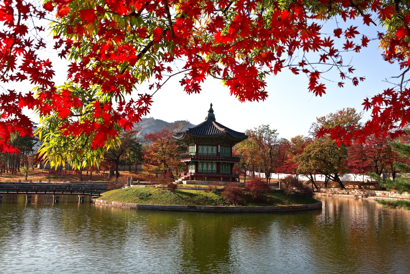 brown and green gazebo surrounded by red trees beside body of water photography 2k 4k