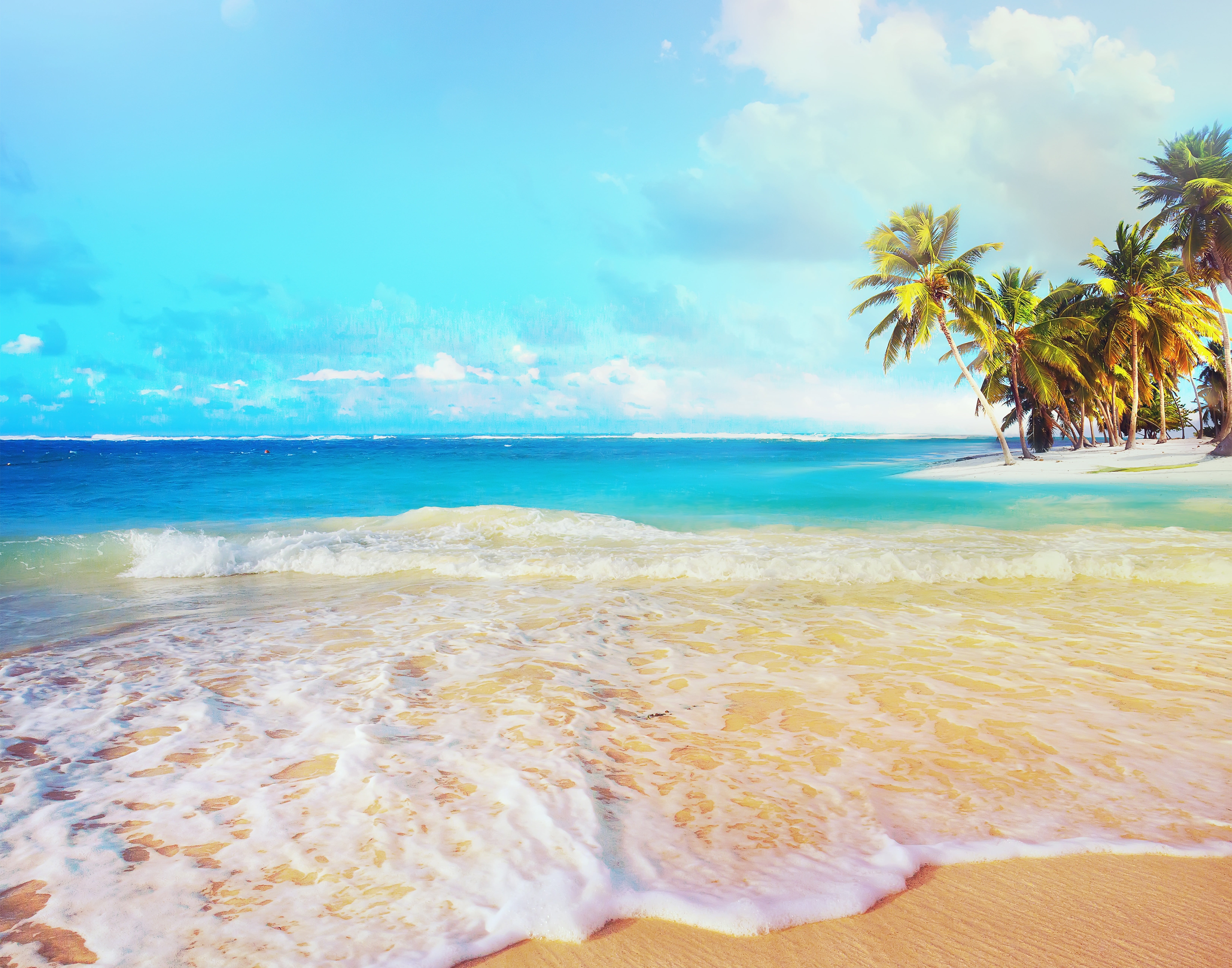 coconut palm trees landscape beach sea water sky beauty in nature 2k 4k 5k