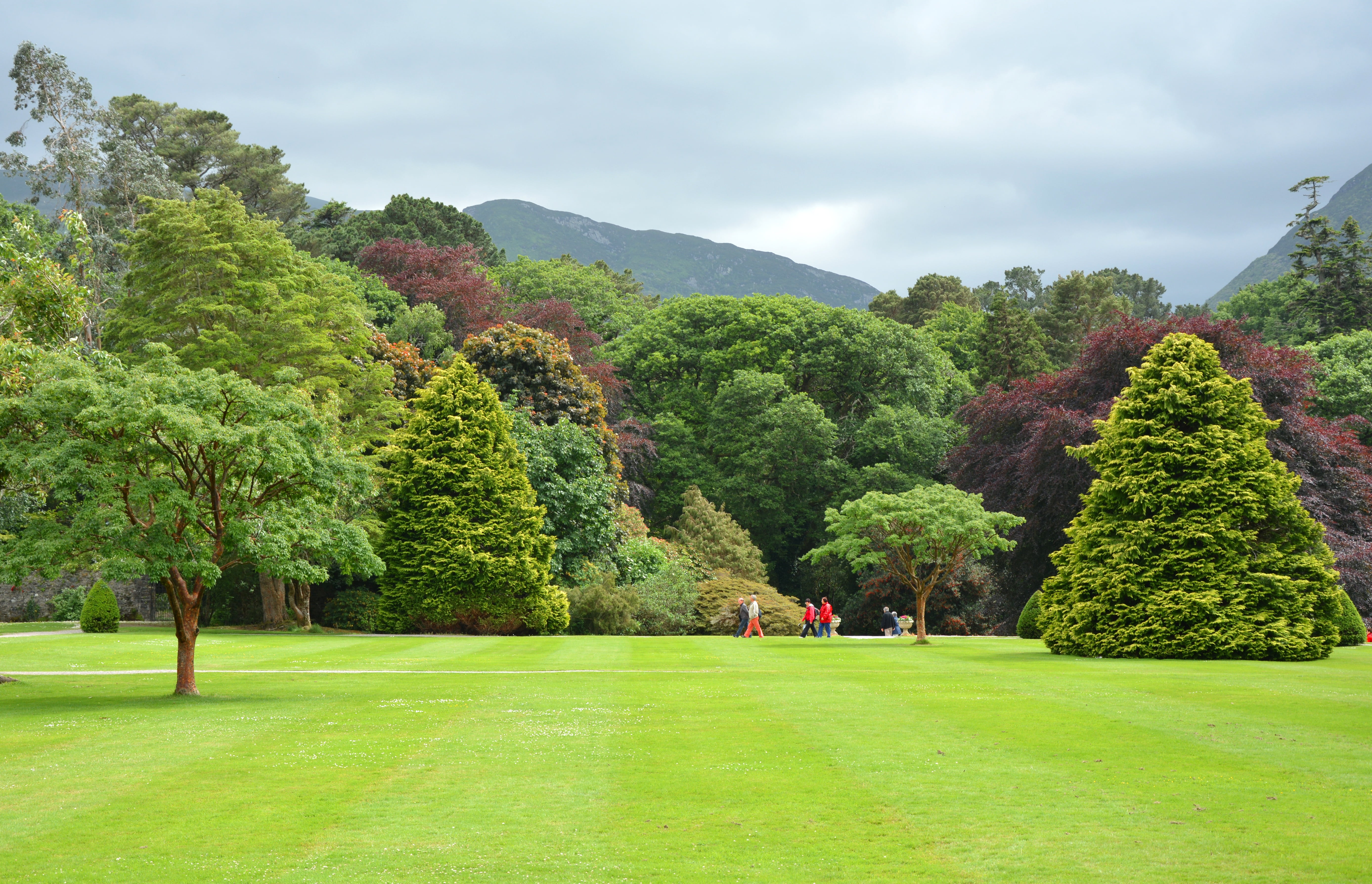 green trees during daytime park parklandschaft english garden 2k 4k 5k