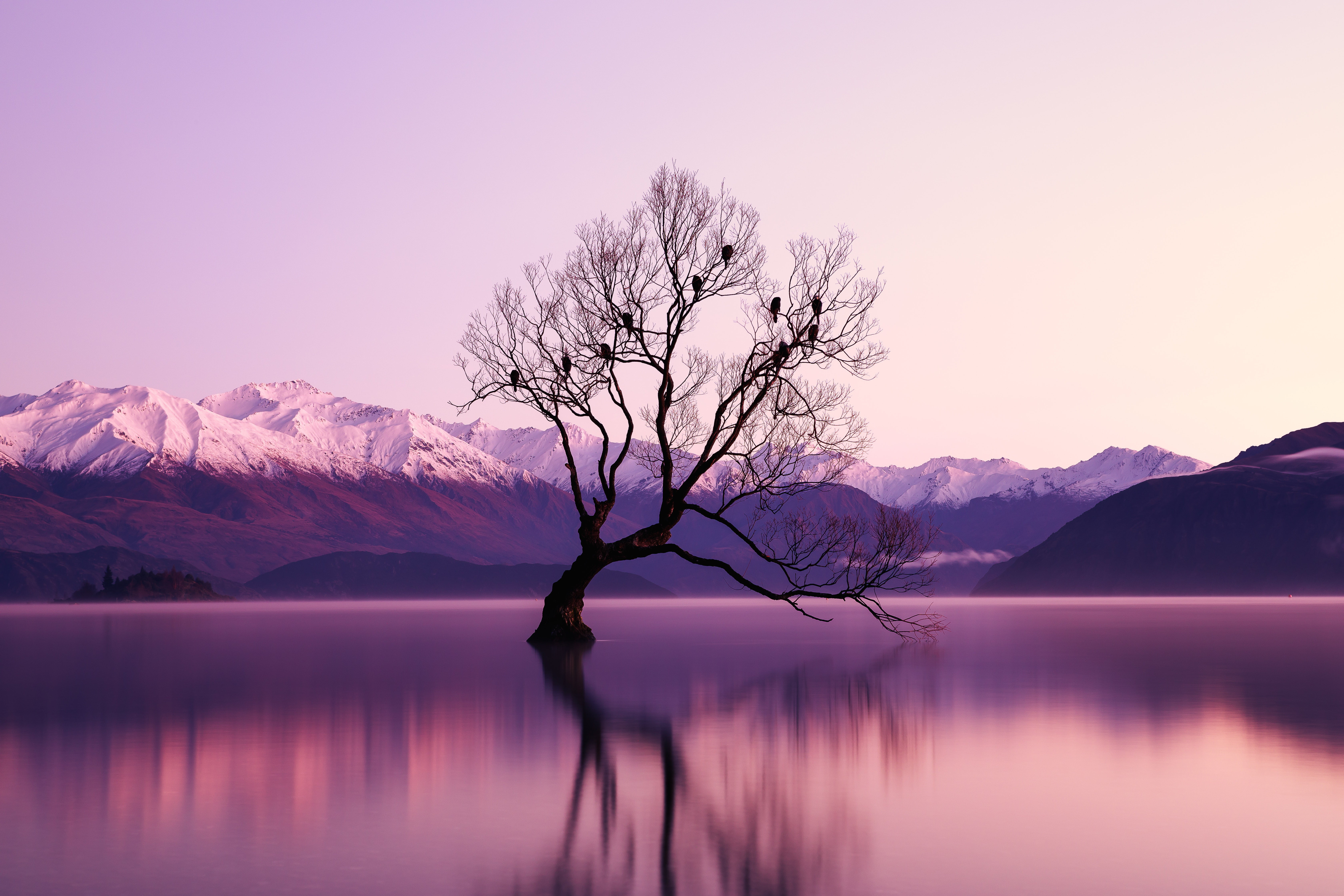 nature purple water trees reflection Lake Wanaka 2k 4k 5k