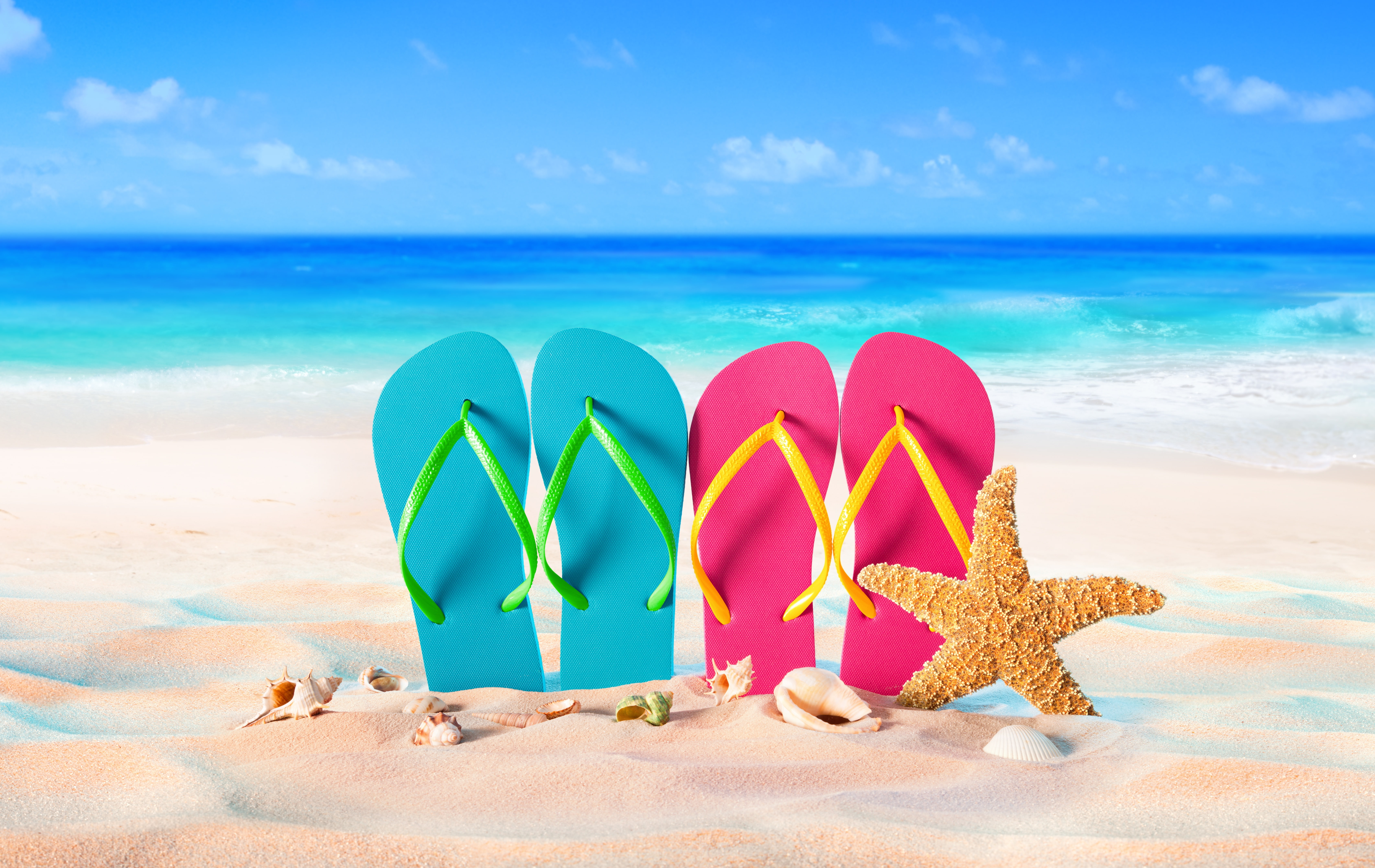 sand sea beach summer stay shell vacation slates starfish 2k 4k 5k