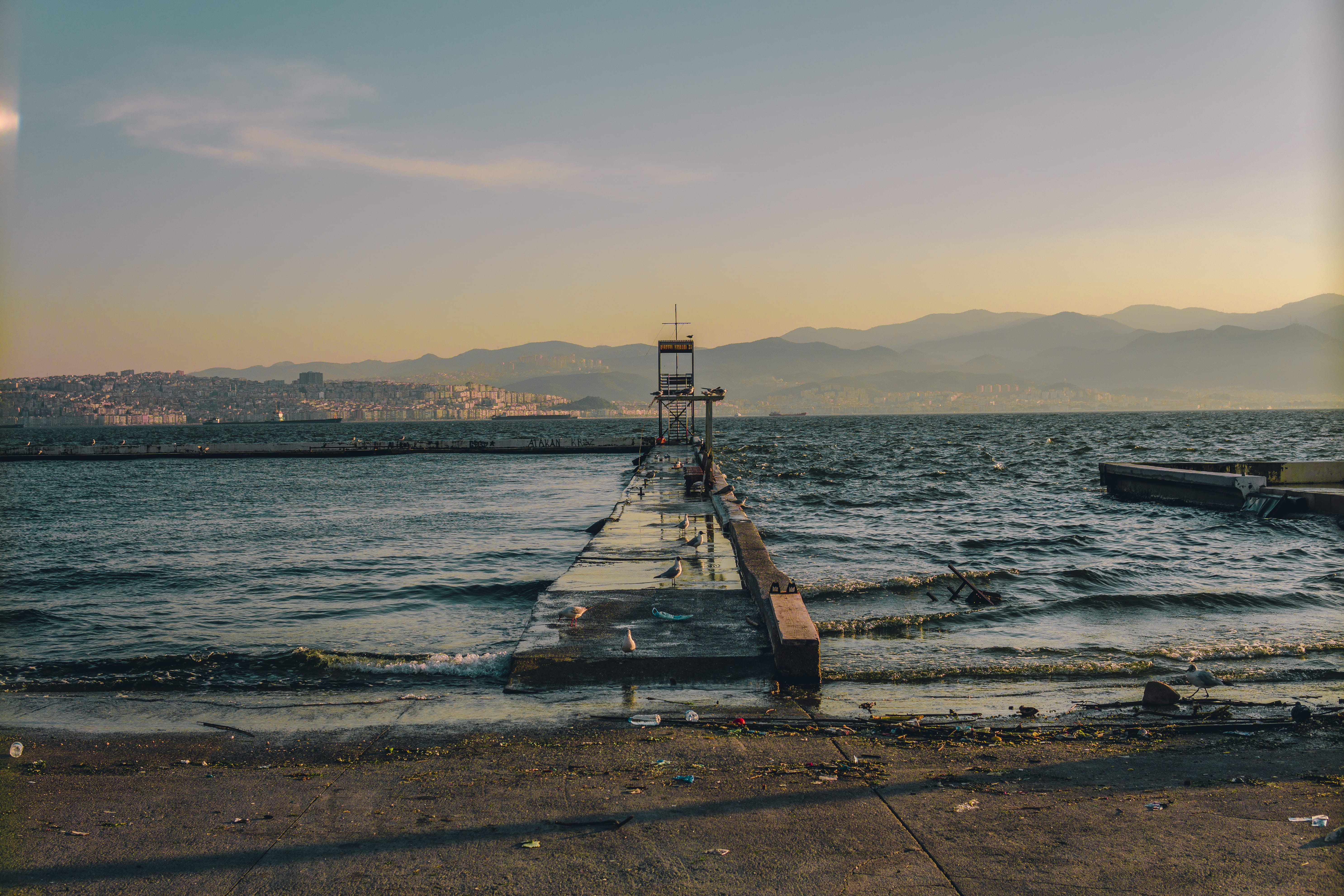 turkey izmir birds trend beach sunrise sunset life vibes 2k 4k 5k