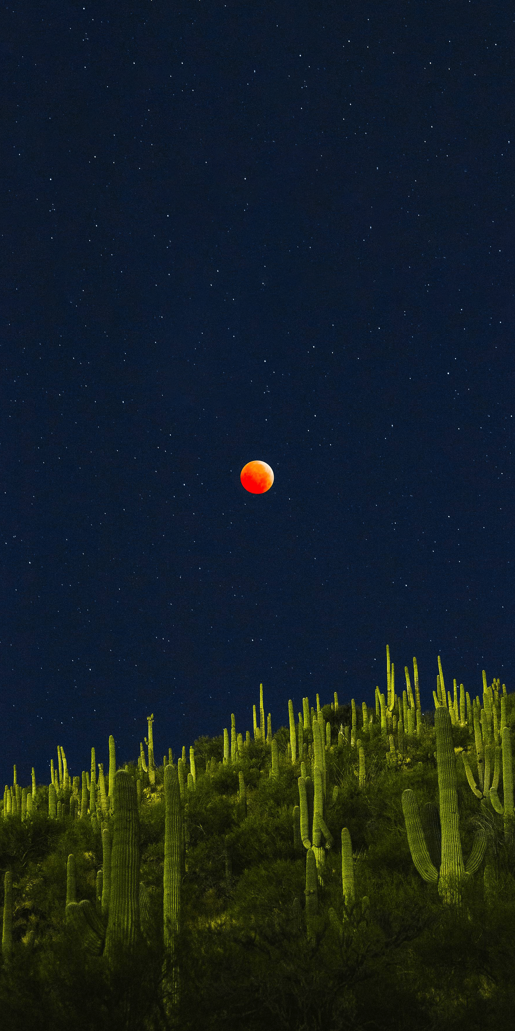 Blood Moon Over the Sonoran Desert 2k