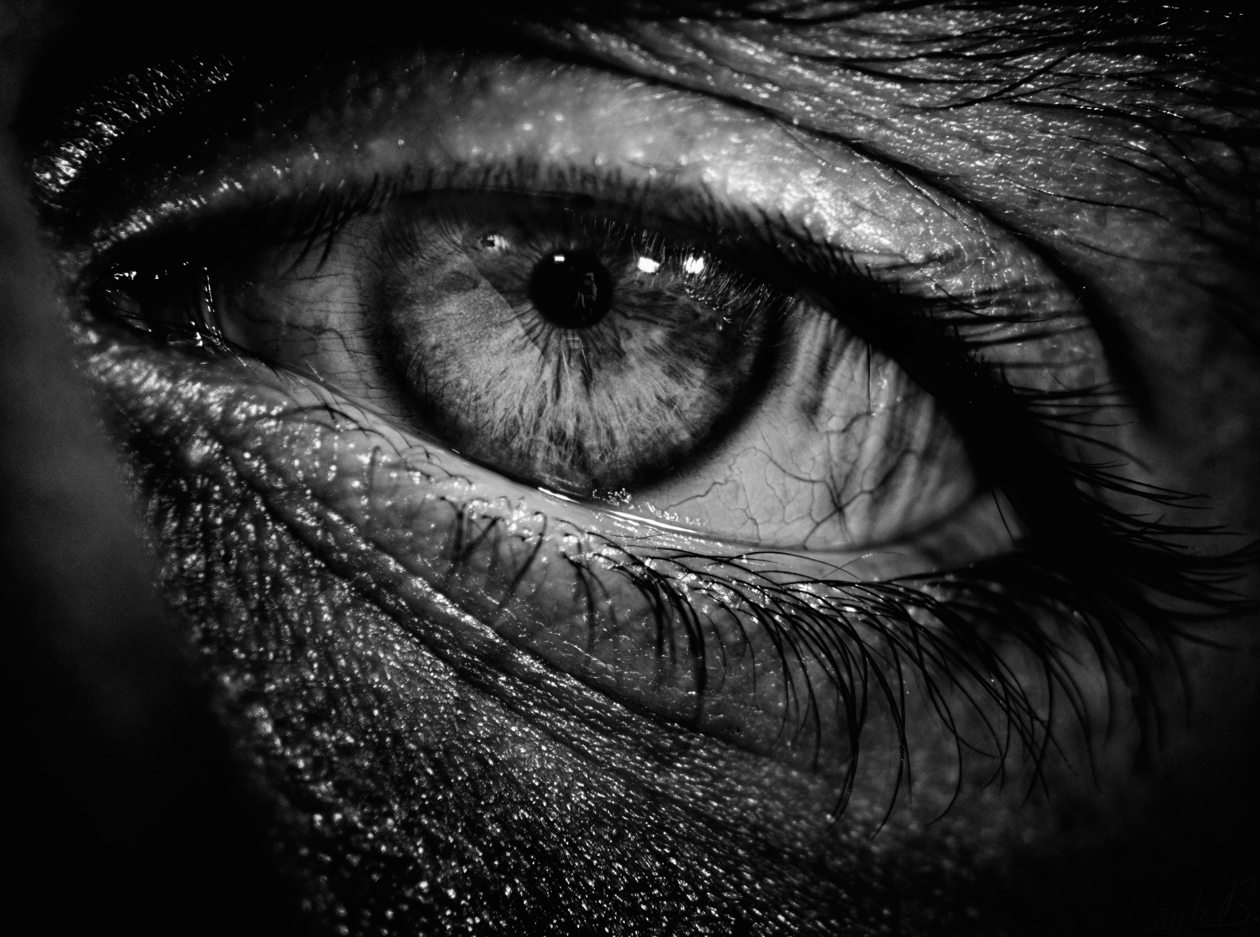 Armenia Hamlet grayscale photo of eye Black and White Dark 2k 4k