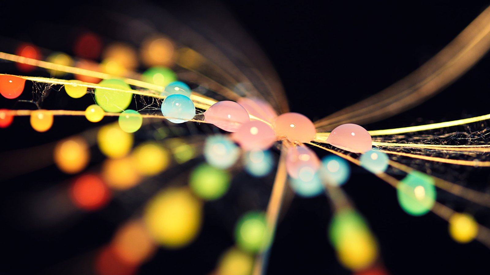 assorted color beads bokeh photography of water droplets colorful 2k