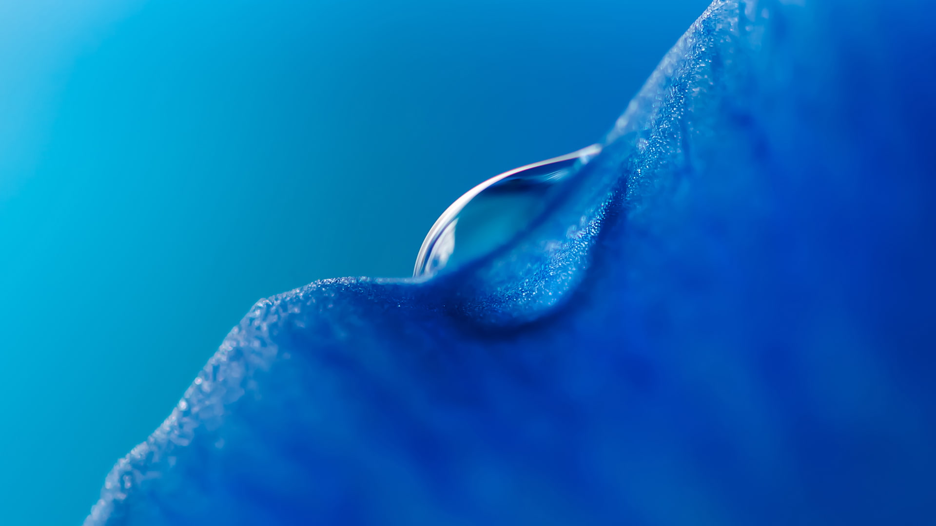 Blue Droplet Honor MagicBook Stock Macro 2k