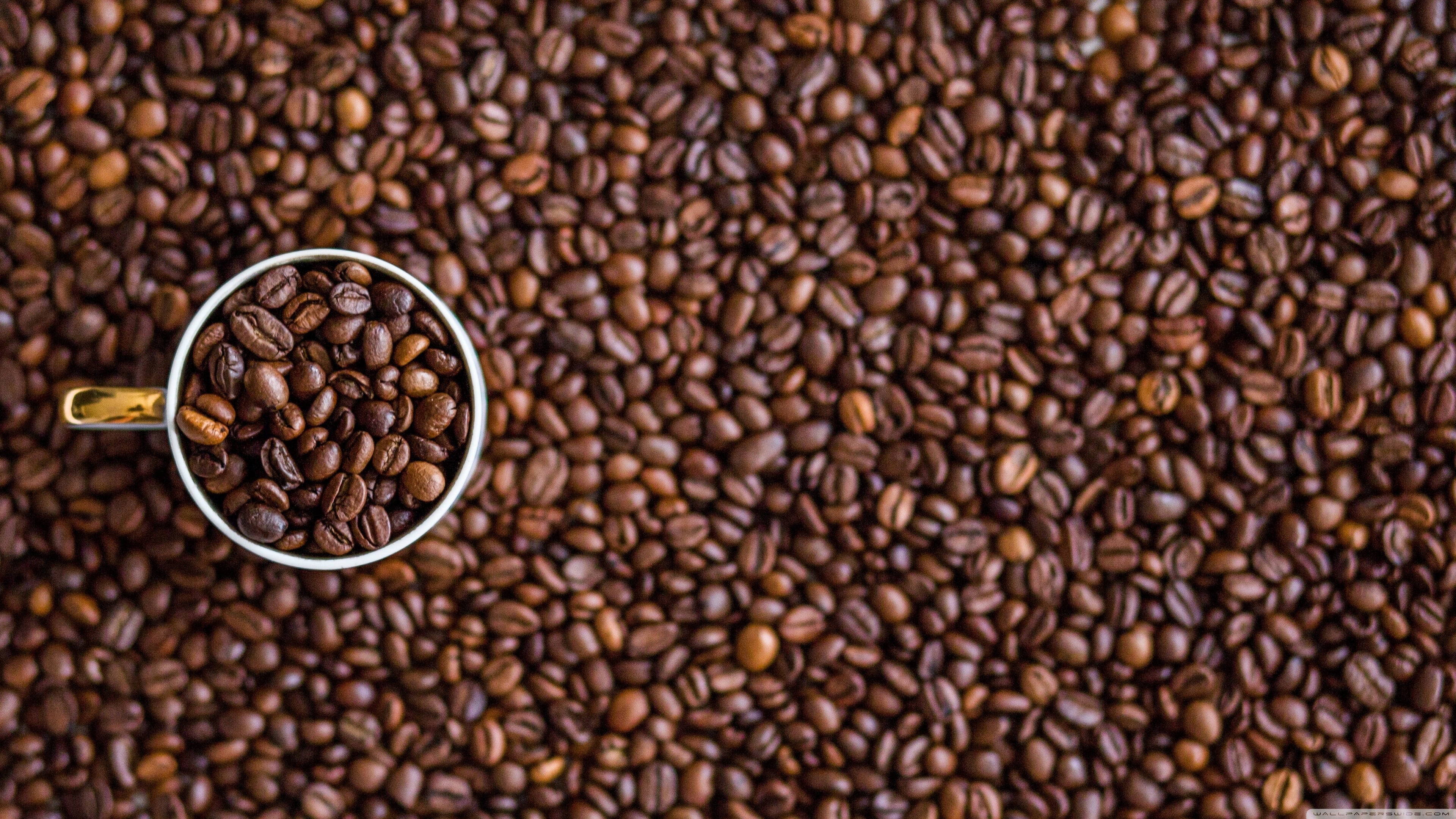 bunch of coffee beans macro cup closeup blurred roasted bean 2k 4k