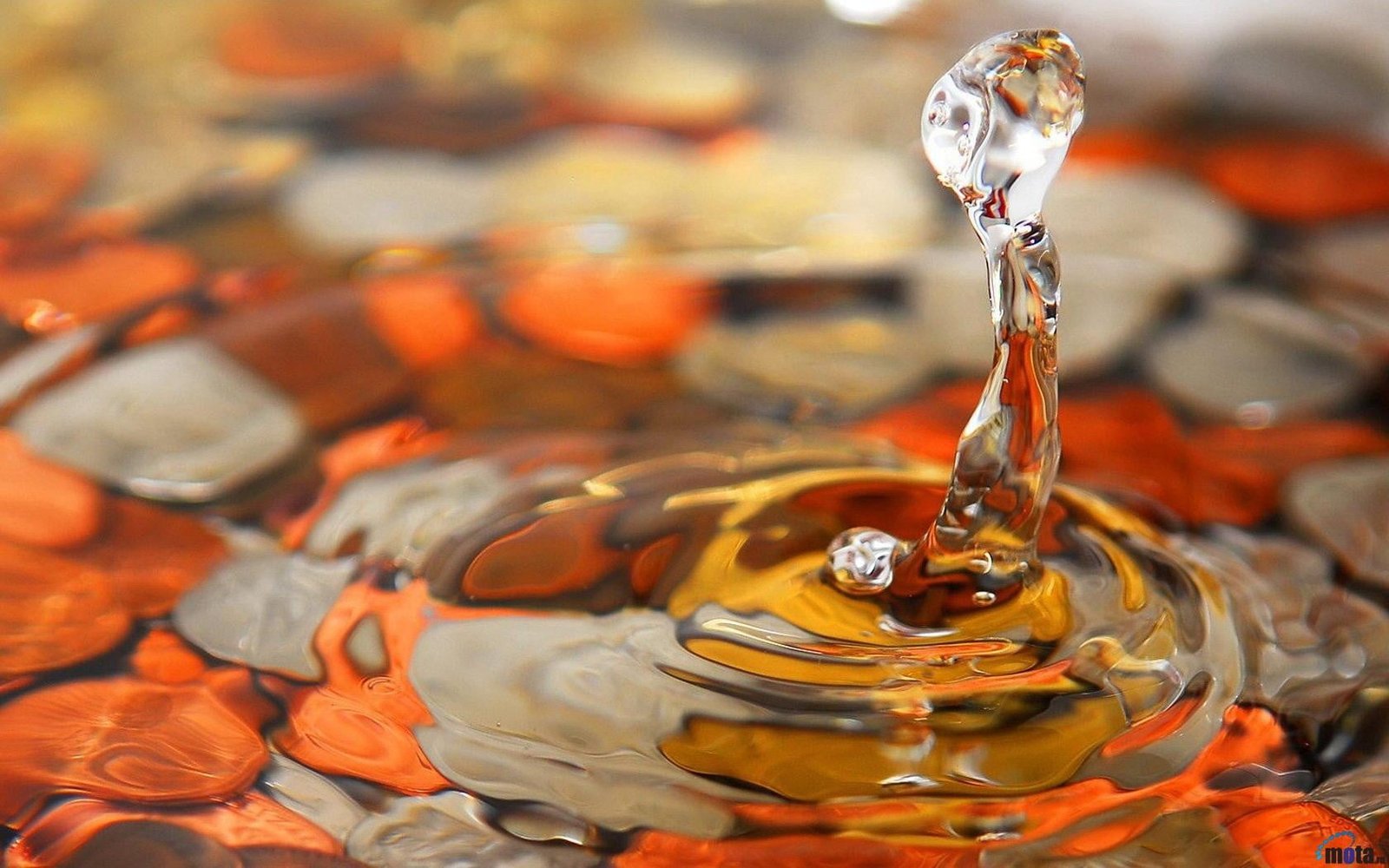 clear water macro stones drops ripples backgrounds 2k