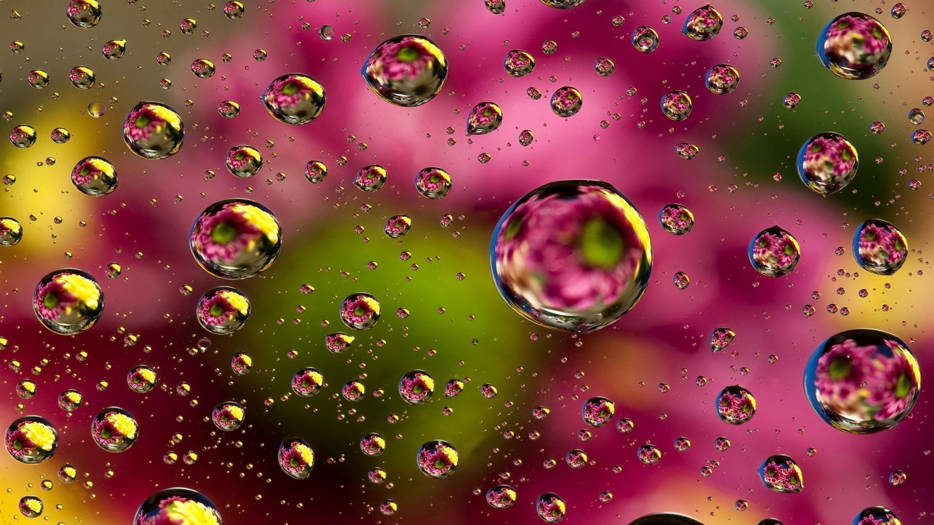 drop water drops macro photography close up colorful magenta 2k
