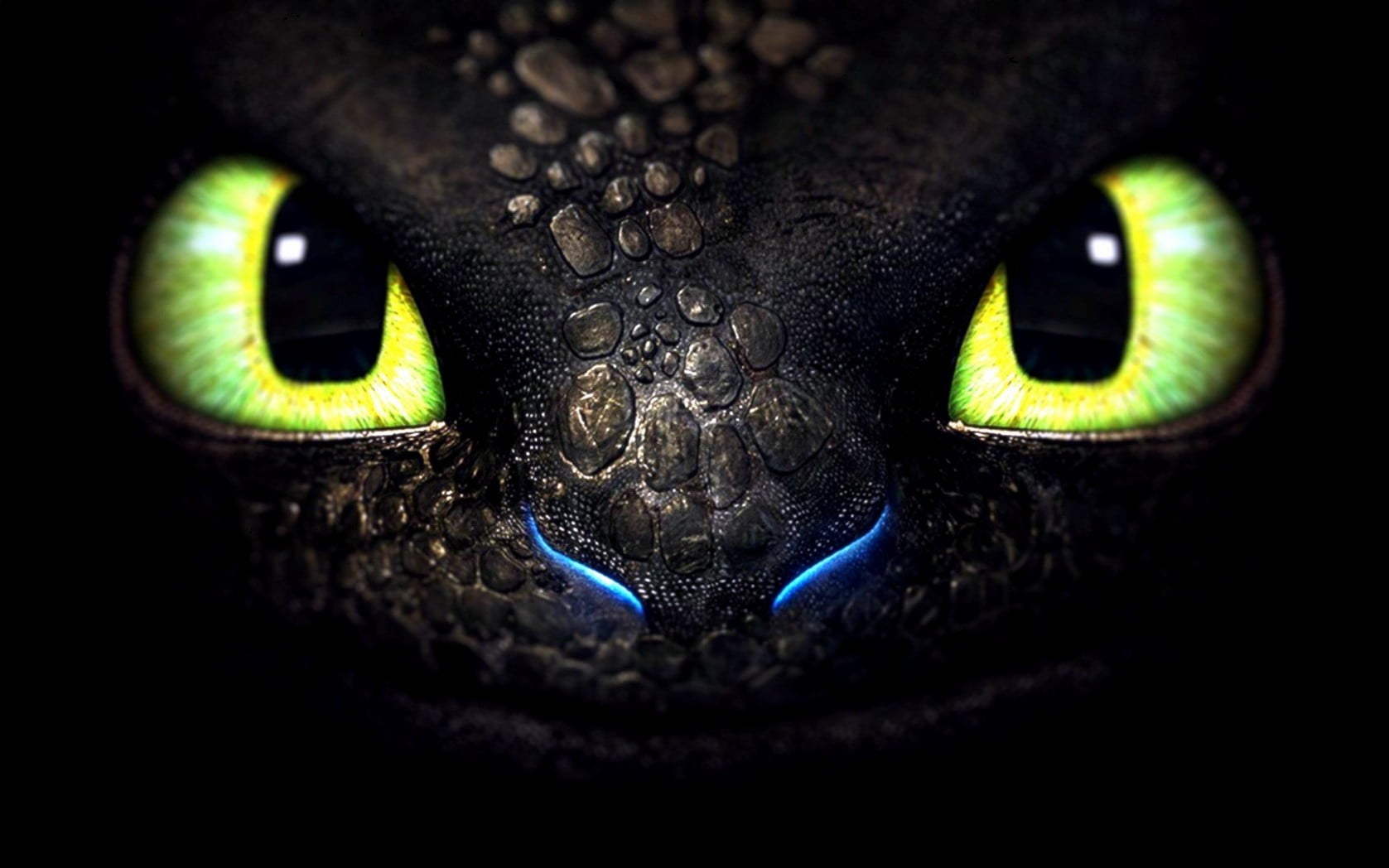 How to train your dragon Toothless digital wallpaper animal 2k