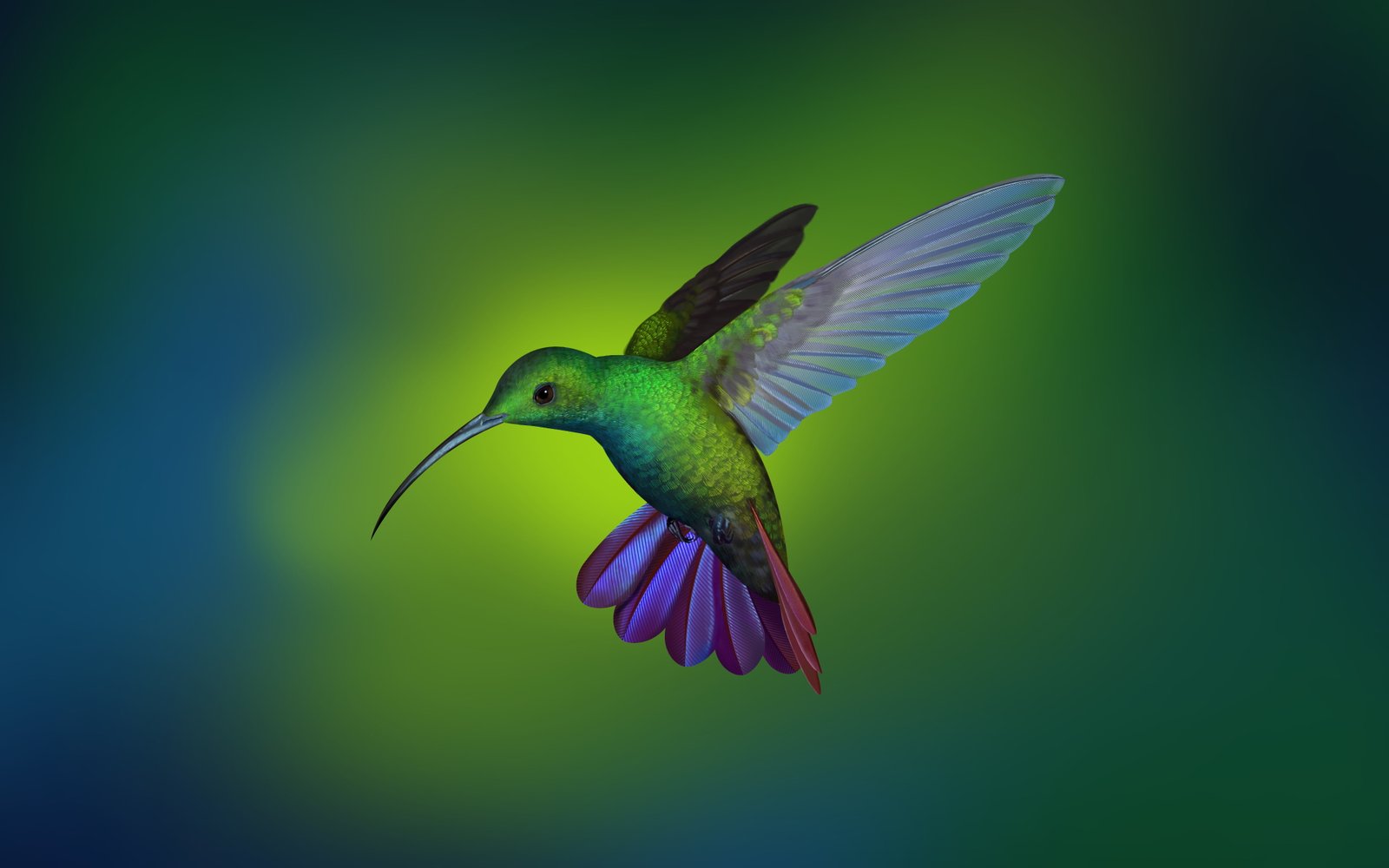 Hummingbird Deepin OS Arch Linux Stock 2k 4k
